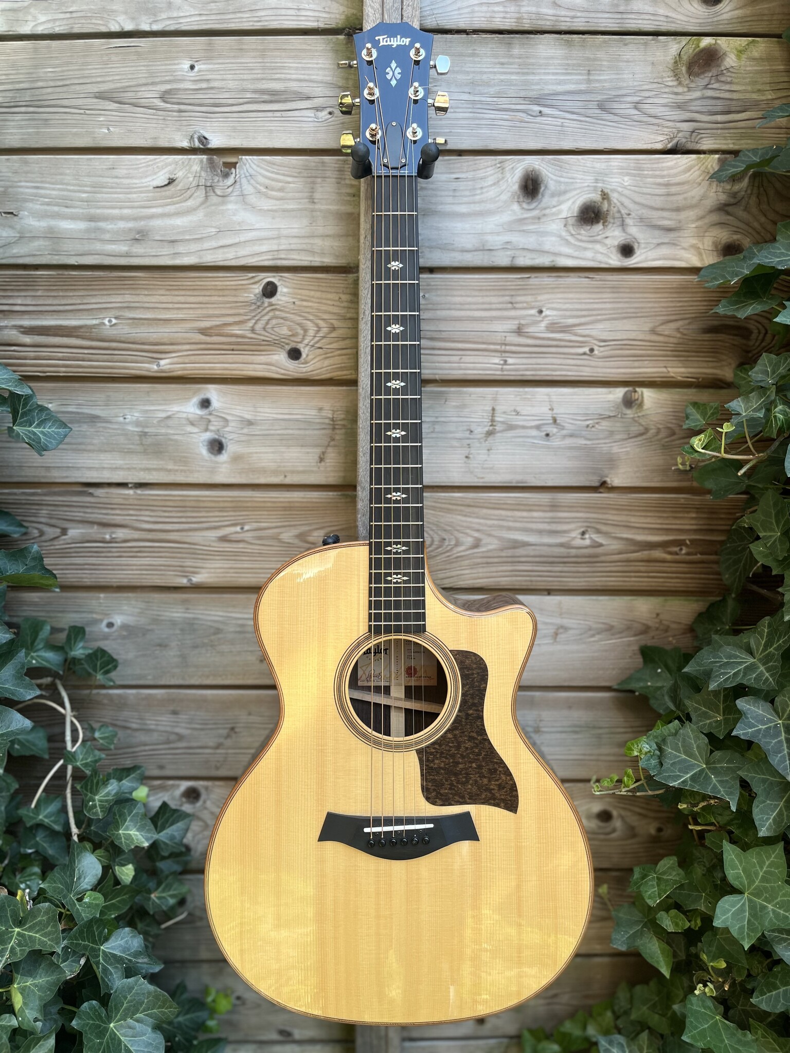 Taylor Taylor 714ce V-Class Grand Auditorium occ.
