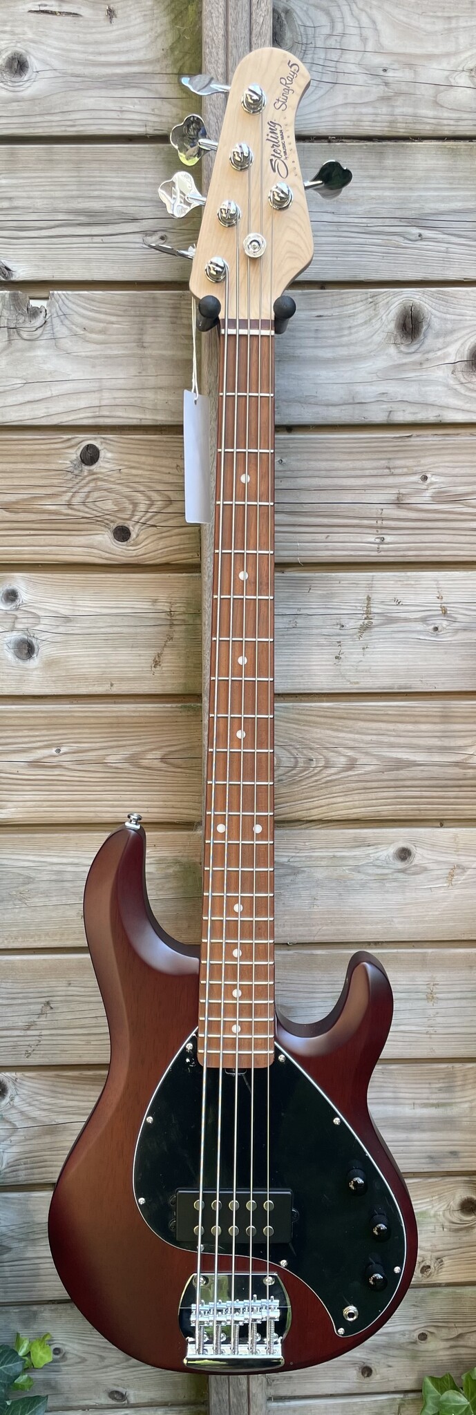 Sterling by Music Man Sterling Music Man StingRay 5-String Walnut Satin