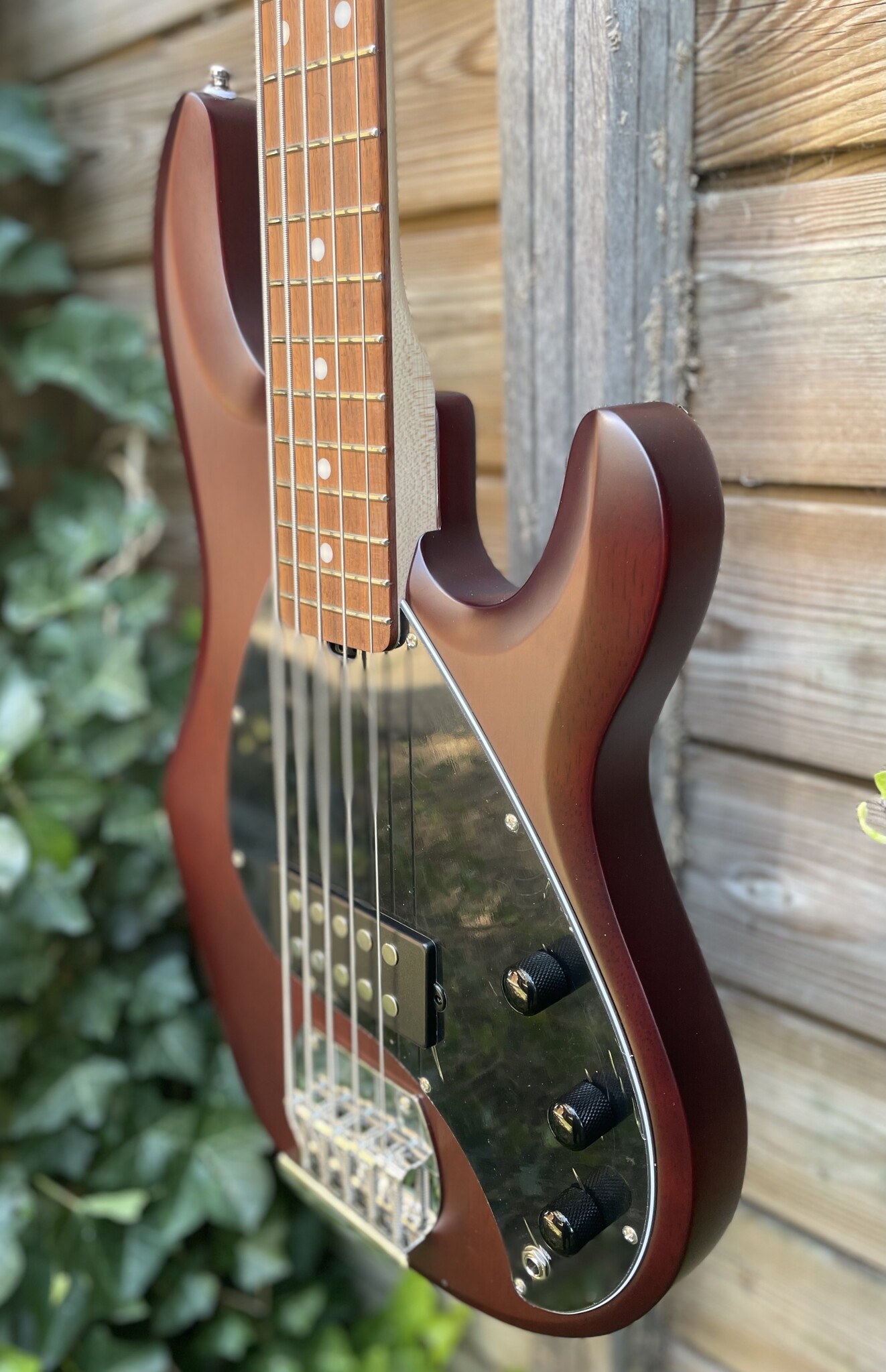 Sterling by Music Man Sterling Music Man StingRay 5-String Walnut Satin
