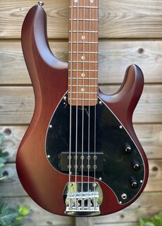 Sterling by Music Man Sterling Music Man StingRay 5-String Walnut