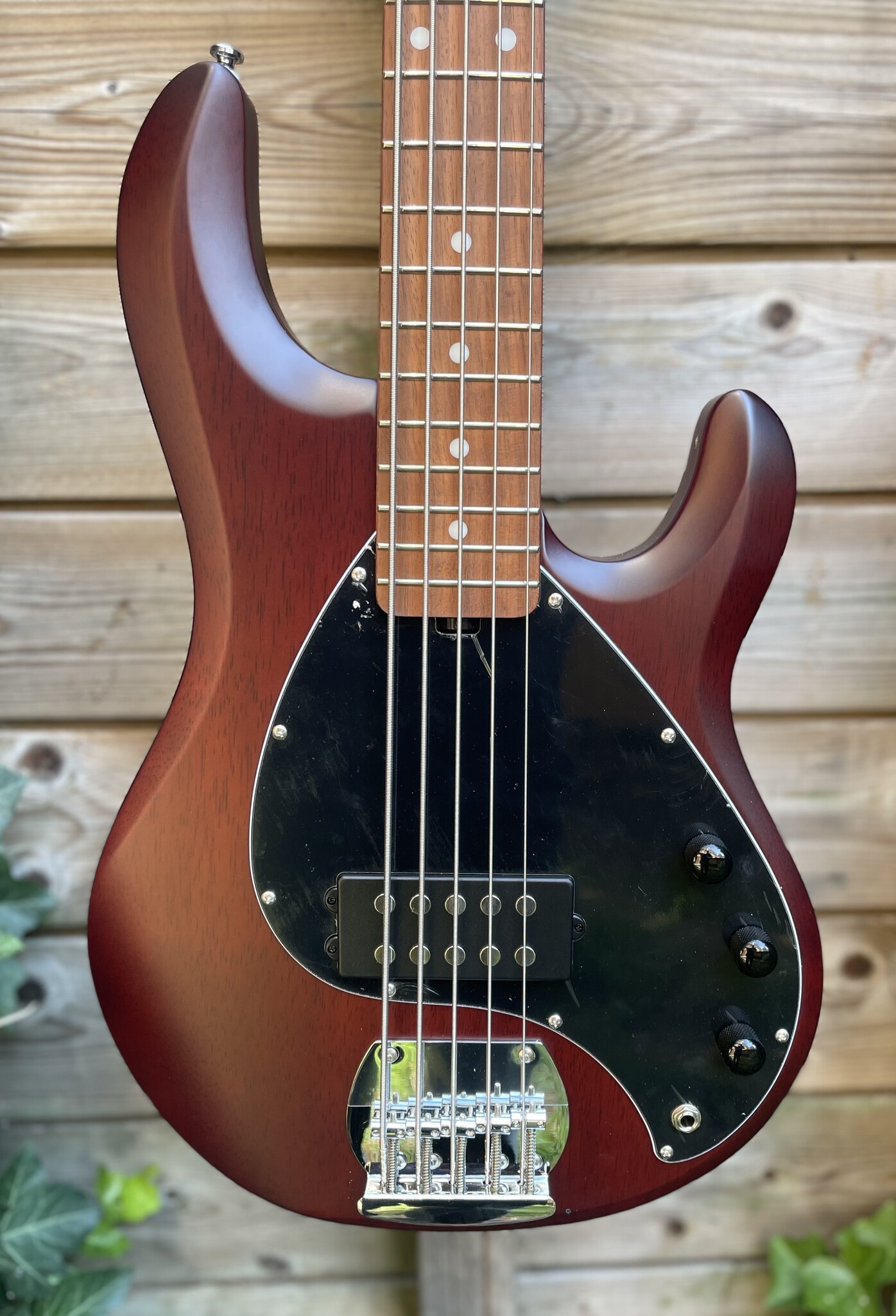Sterling by Music Man Sterling Music Man StingRay 5-String Walnut Satin