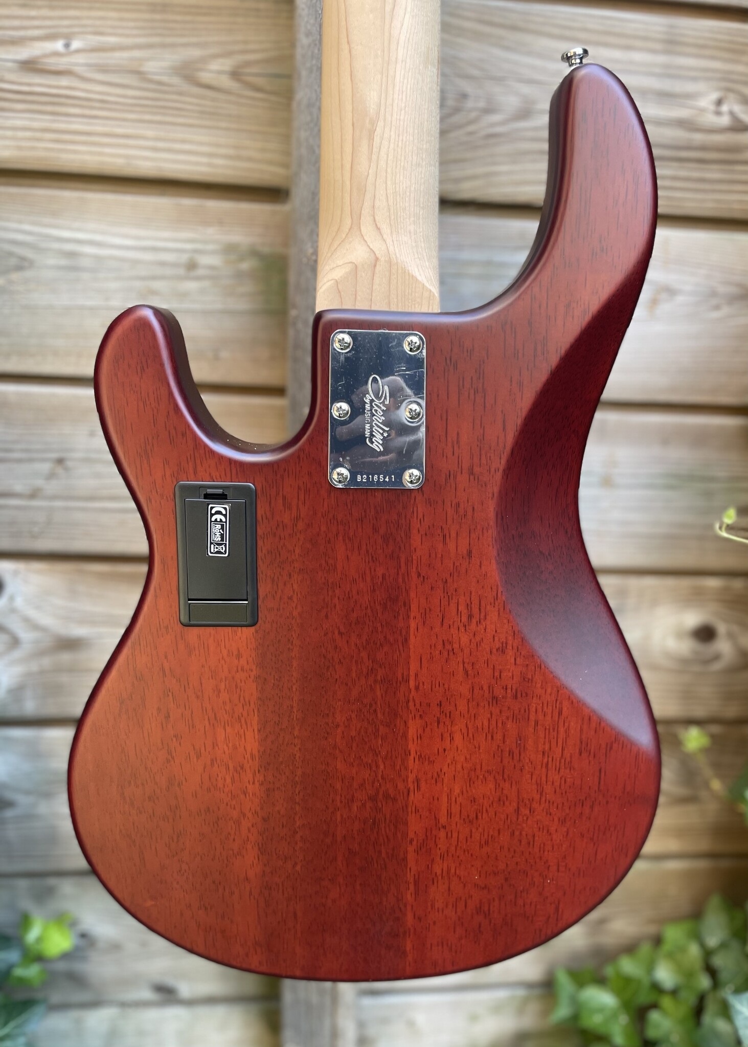Sterling by Music Man Sterling Music Man StingRay 5-String Walnut Satin