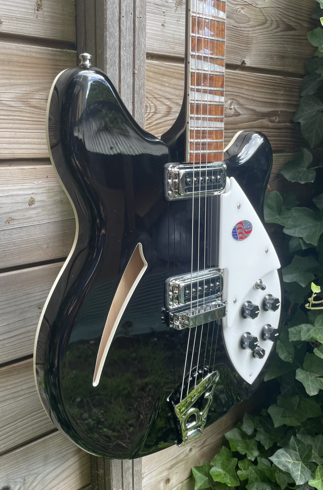Rickenbacker Rickenbacker 360 JG Jetglo Black