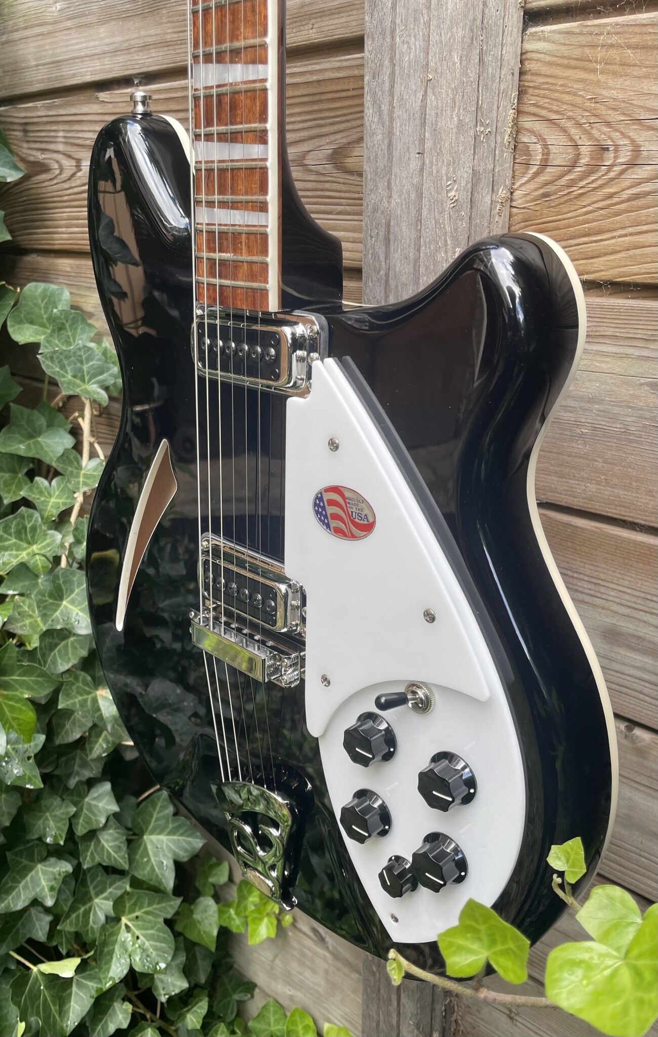 Rickenbacker Rickenbacker 360 JG Jetglo Black