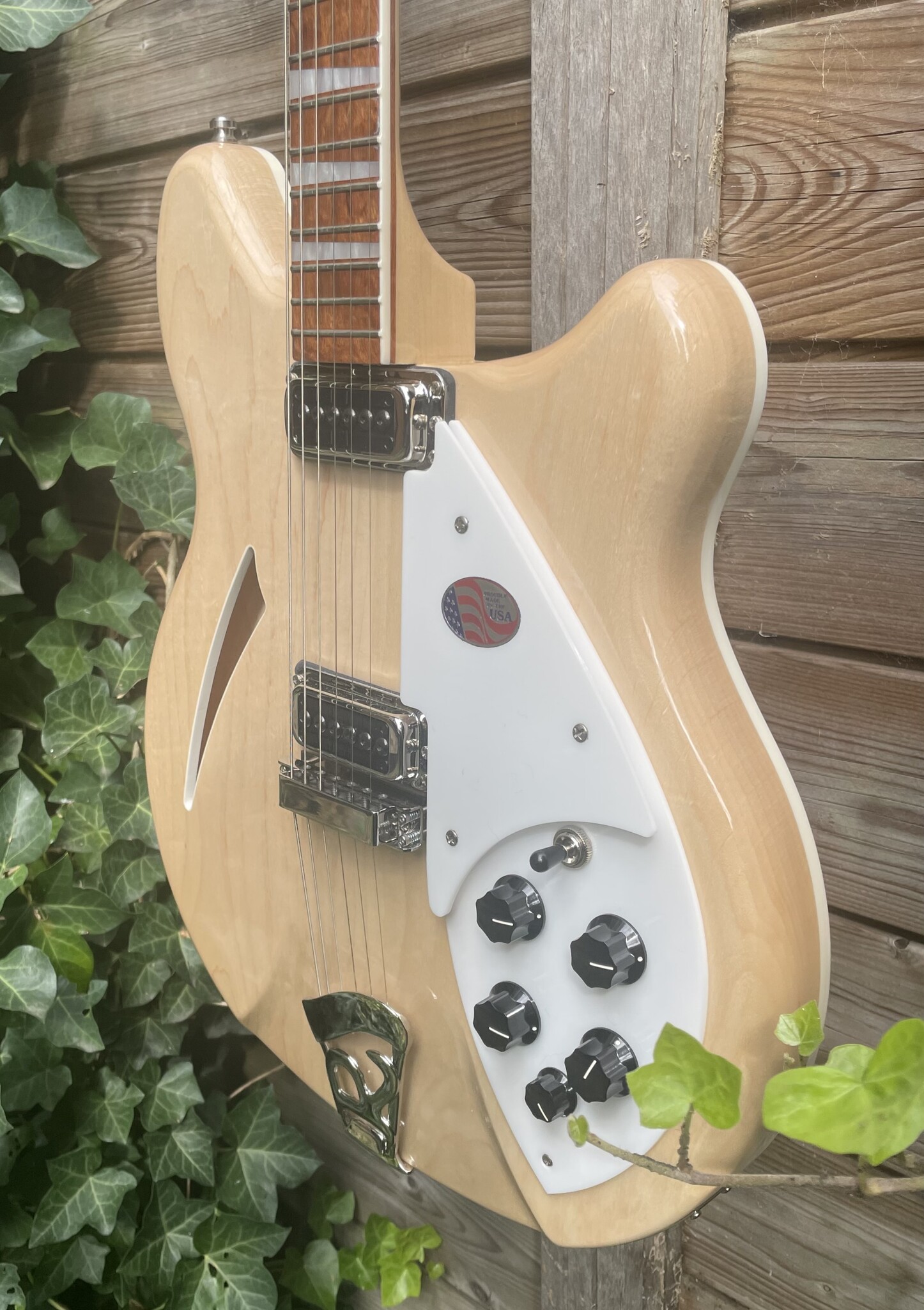 Rickenbacker Rickenbacker 360 MG Mapleglo Natural