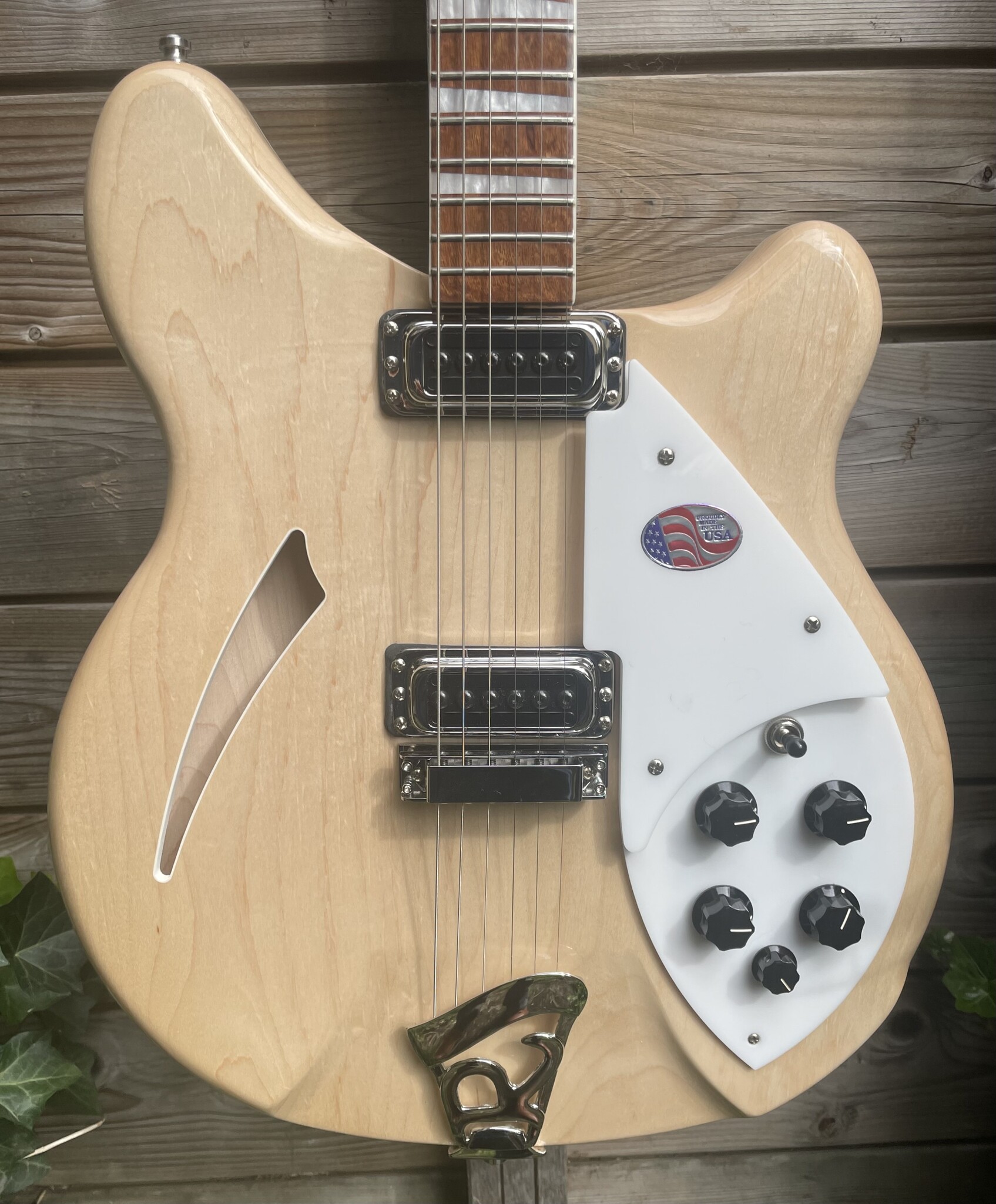 Rickenbacker Rickenbacker 360 MG Mapleglo Natural