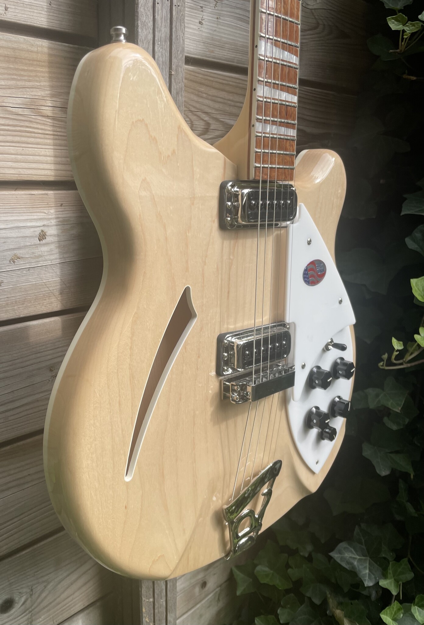 Rickenbacker Rickenbacker 360 MG Mapleglo Natural