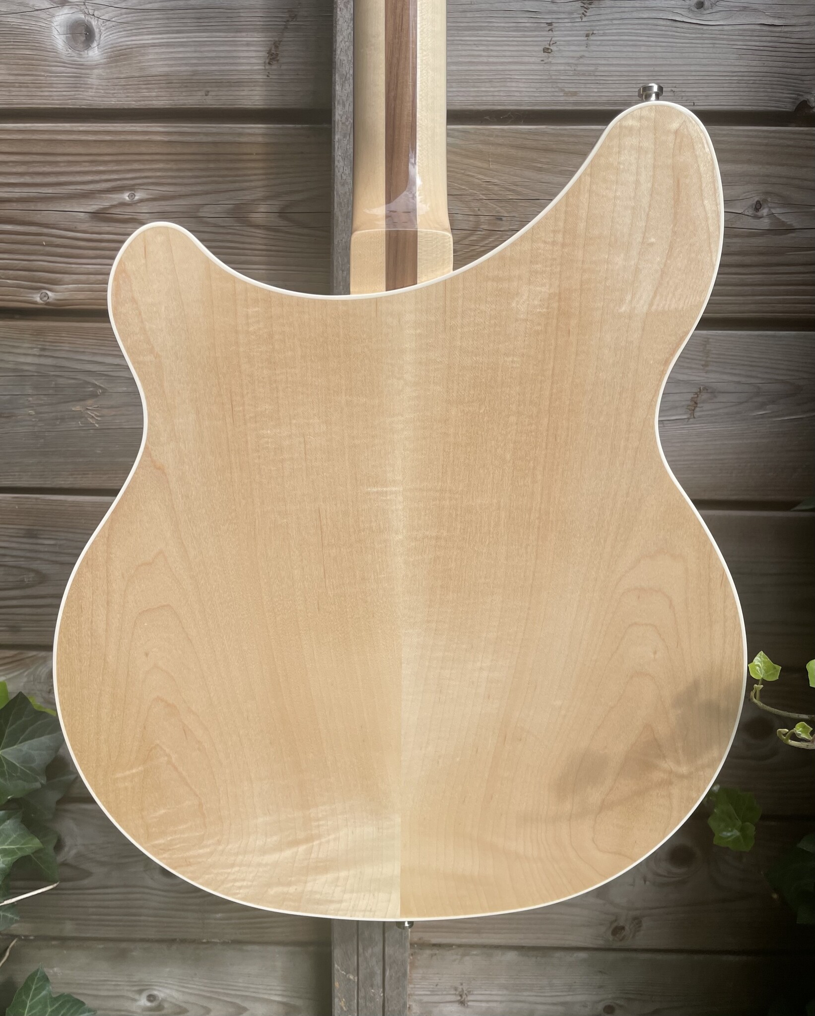 Rickenbacker Rickenbacker 360 MG Mapleglo Natural