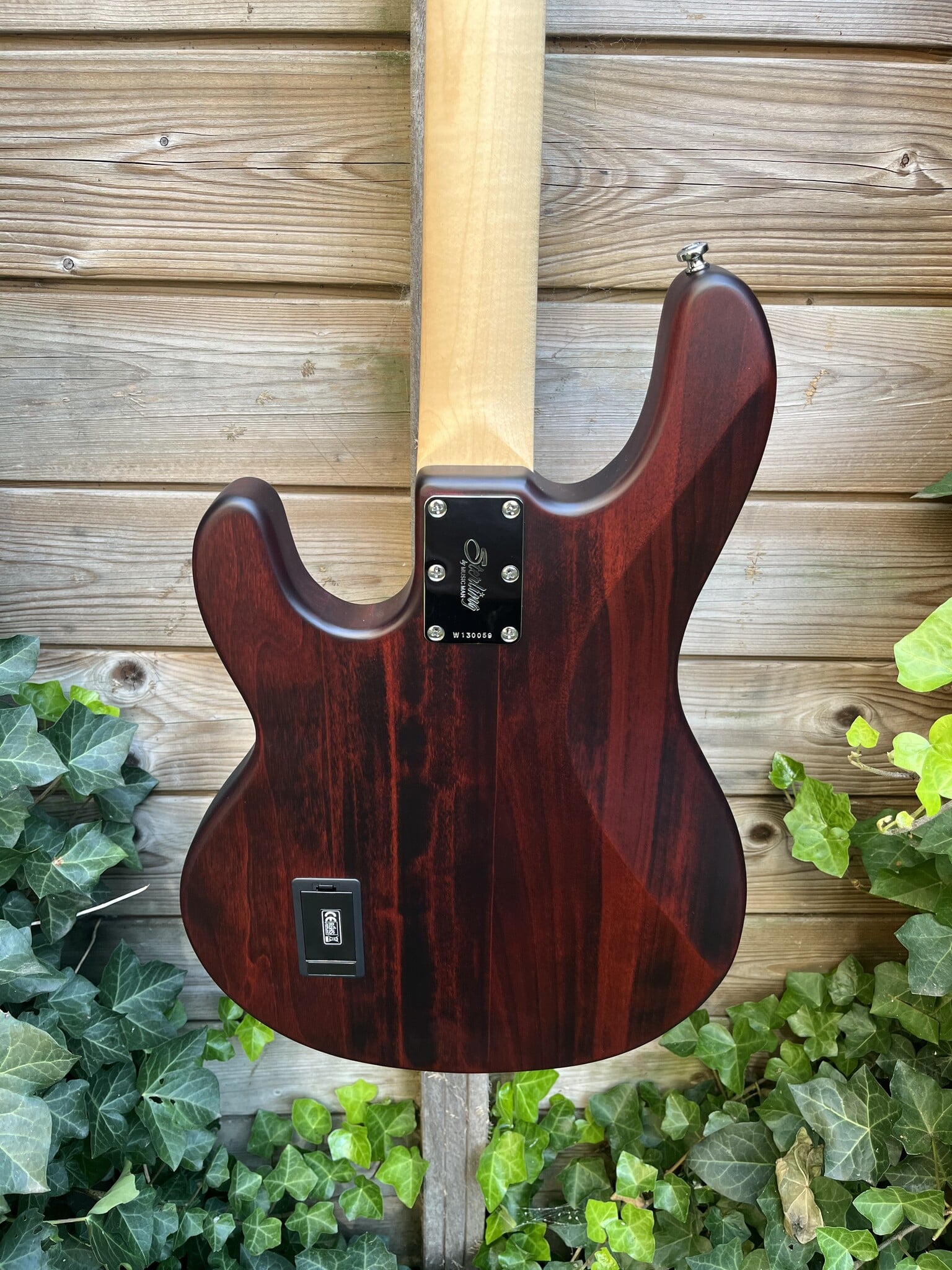 Sterling by Music Man Sterling Music Man StingRay 4 Walnut Satin