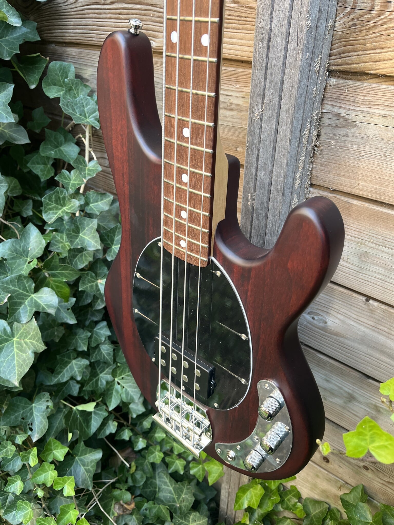 Sterling by Music Man Sterling Music Man StingRay 4 Walnut Satin