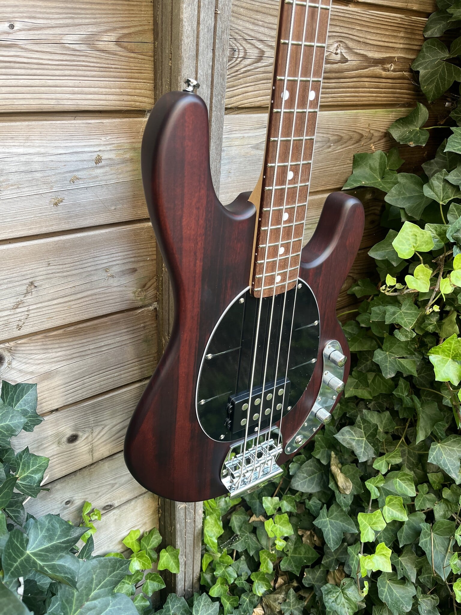 Sterling by Music Man Sterling Music Man StingRay 4 Walnut Satin