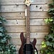 Sterling by Music Man Sterling Music Man StingRay 4 Walnut Satin