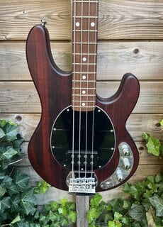 Sterling by Music Man Sterling Music Man StingRay 4 Walnut Satin