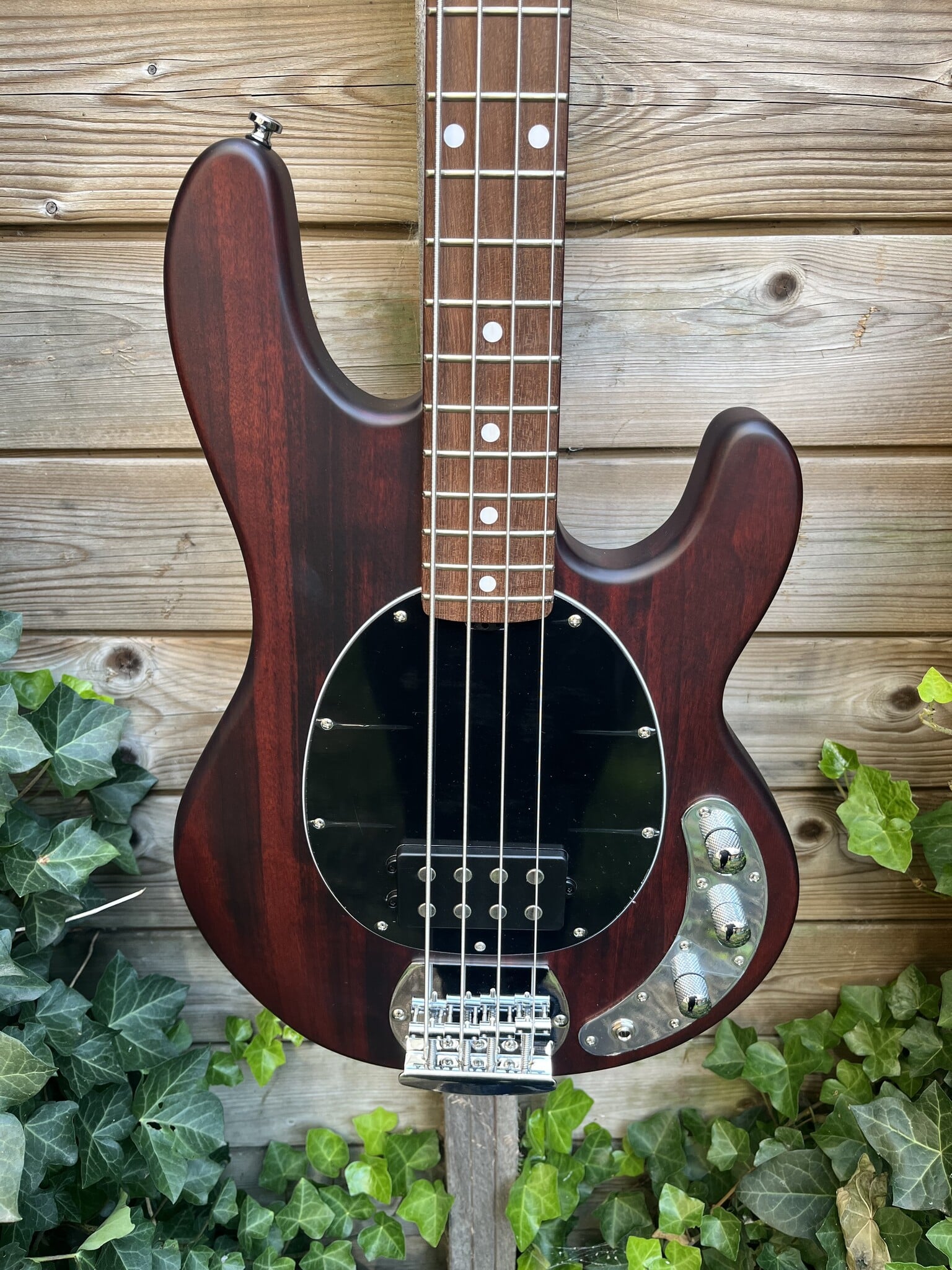 Sterling by Music Man Sterling Music Man StingRay 4 Walnut Satin