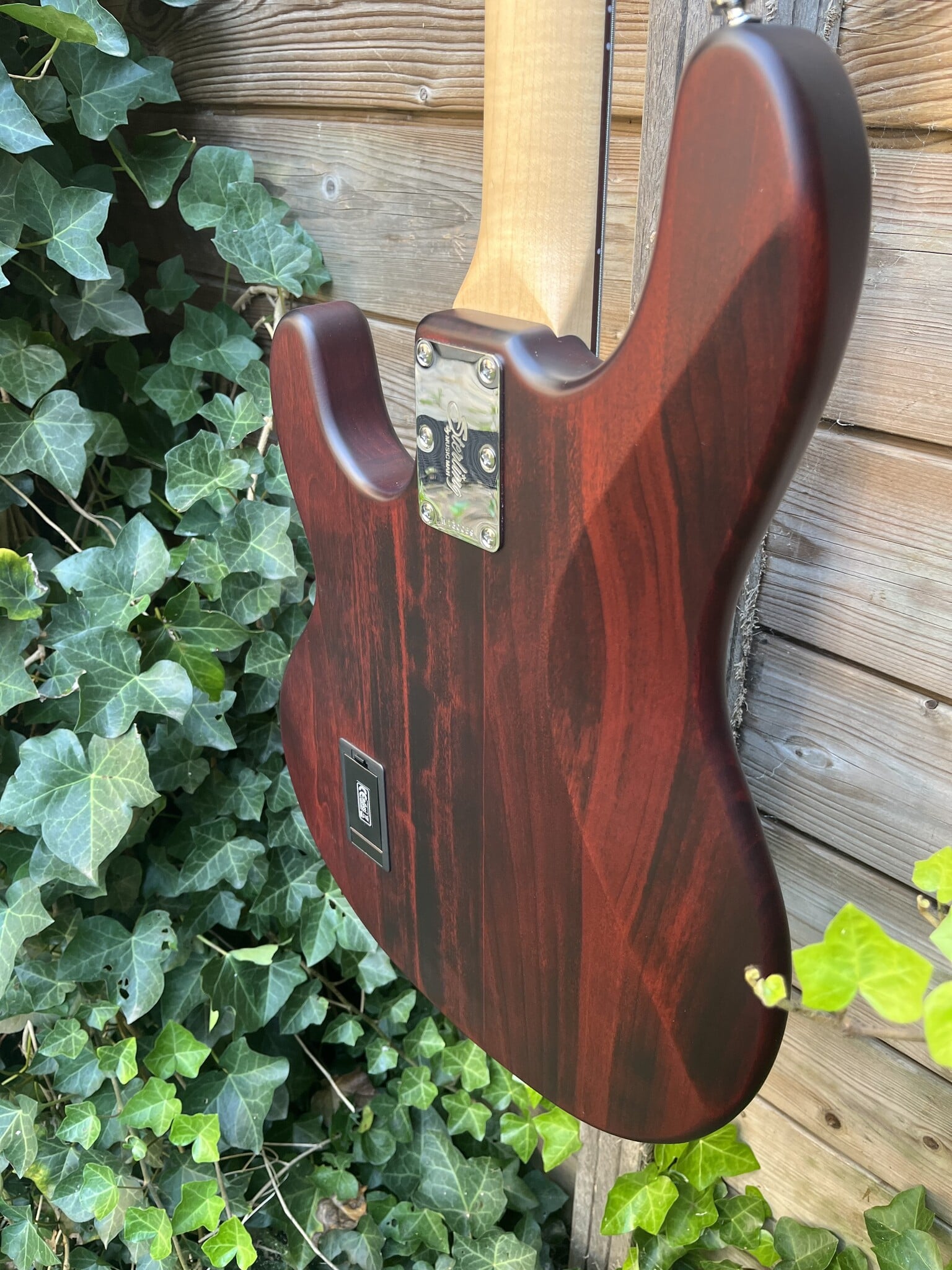 Sterling by Music Man Sterling Music Man StingRay 4 Walnut Satin