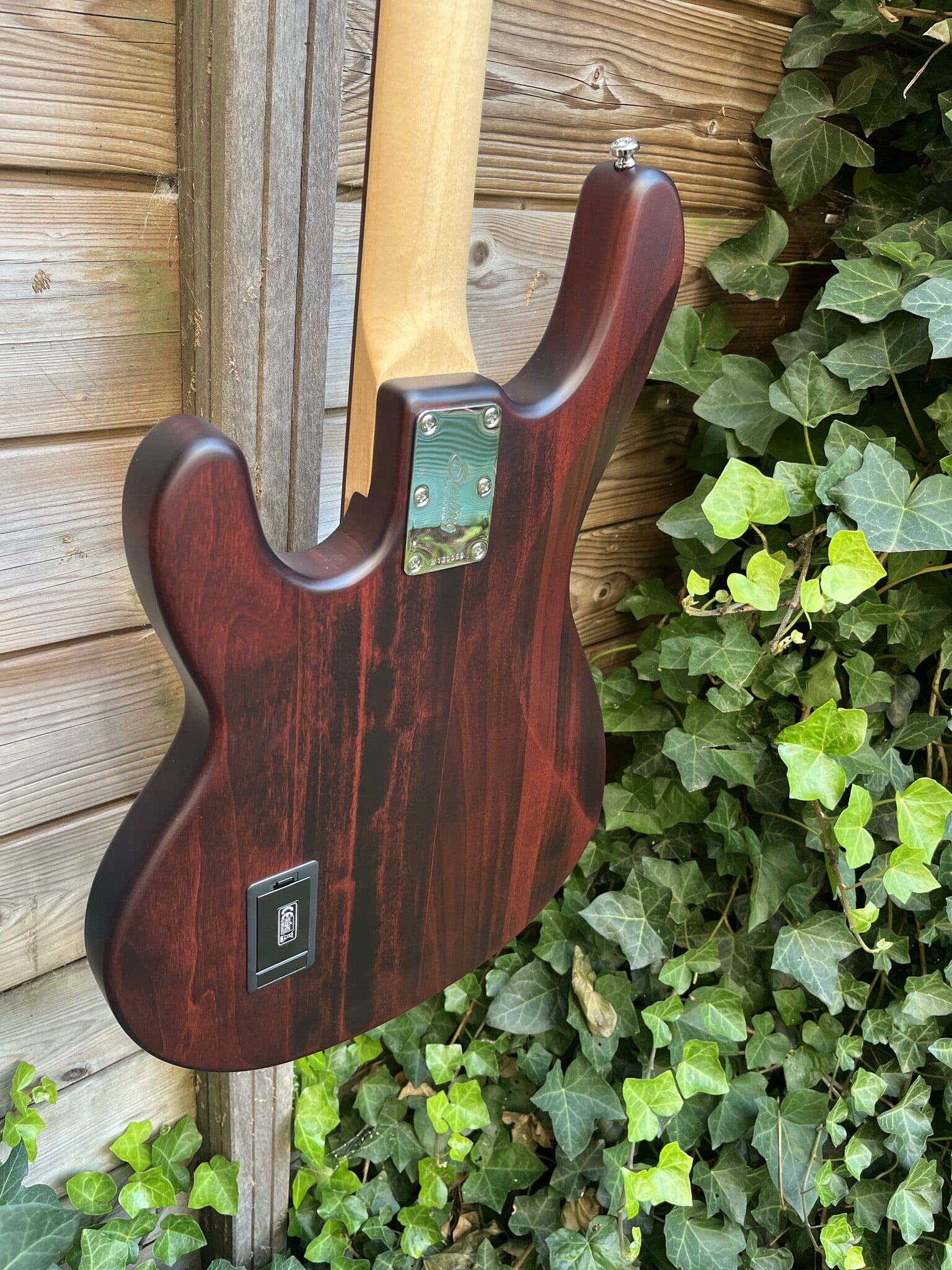 Sterling by Music Man Sterling Music Man StingRay 4 Walnut Satin