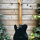 Patina Guitars Patina PT-3 T-Style Sunburst