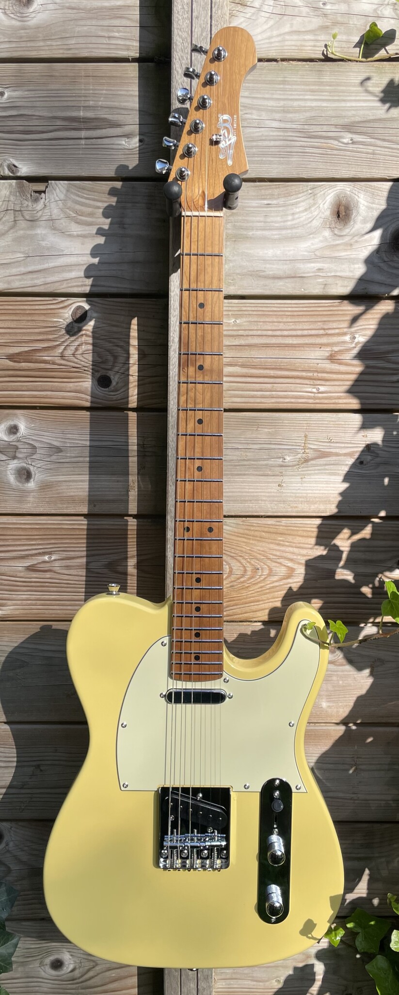 JET Guitars JET Tele JT-300 Butterscotch Blonde