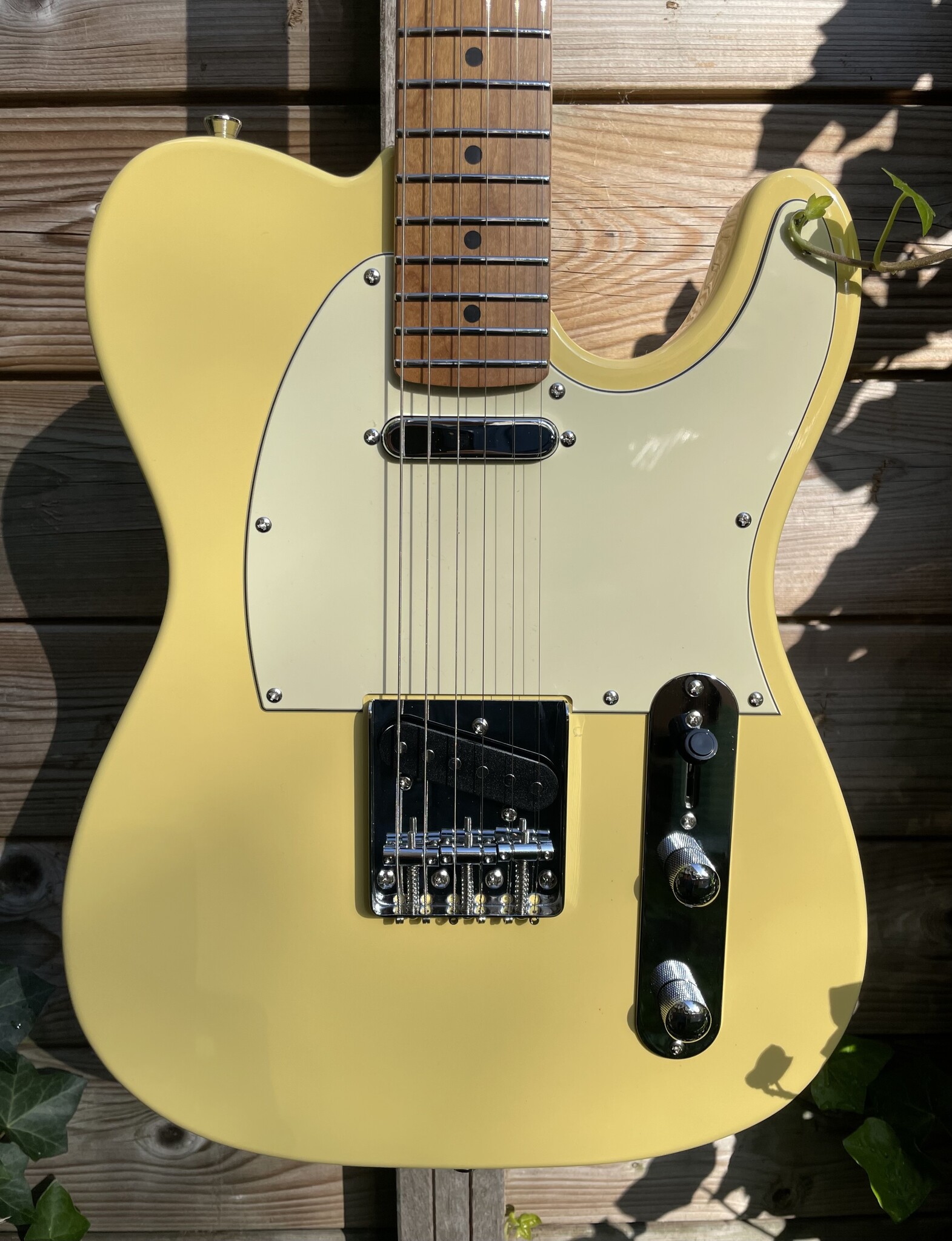 JET Guitars JET Tele JT-300 Butterscotch Blonde