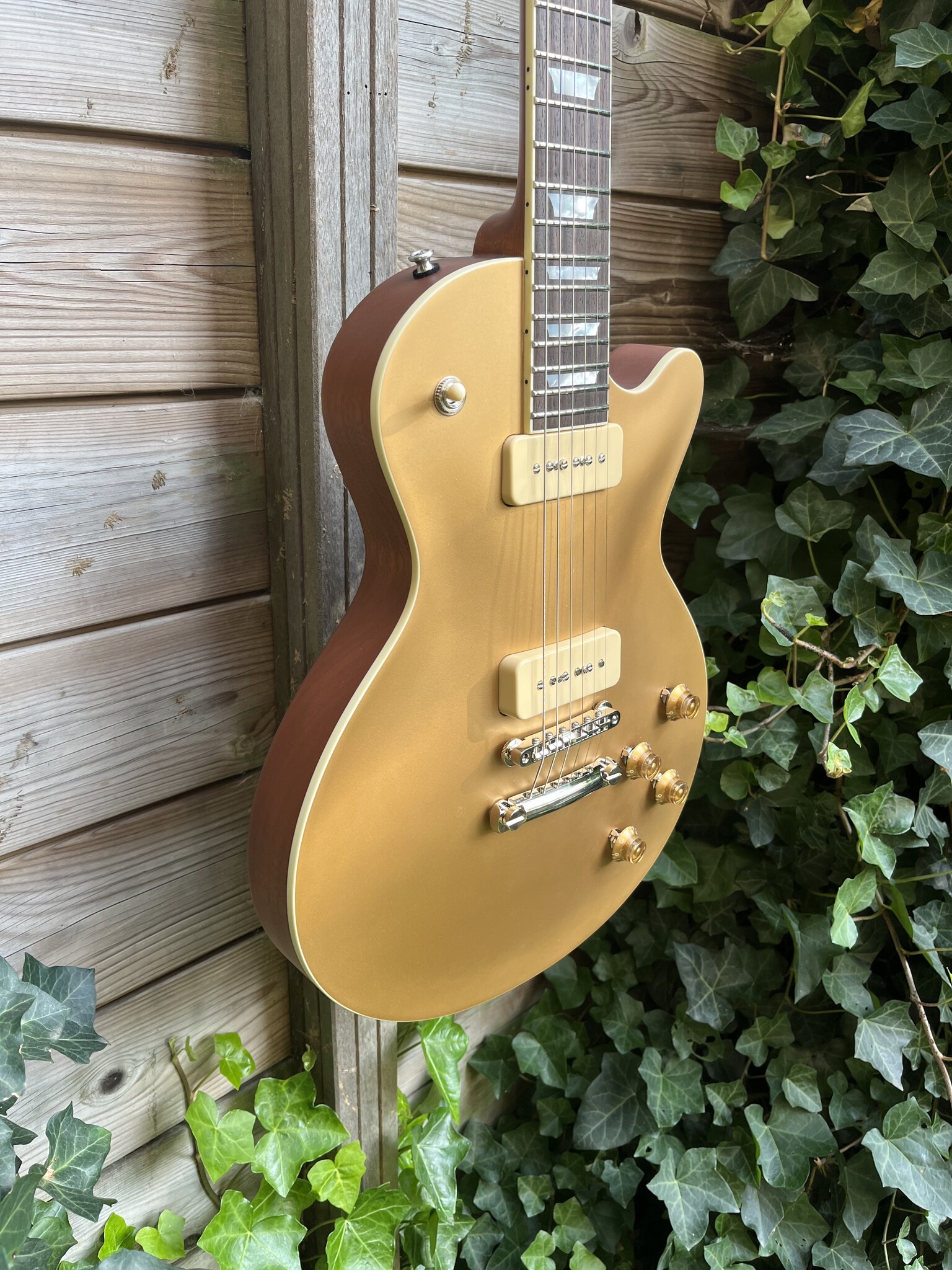 Eastman Eastman SB59 Satin Goldburst