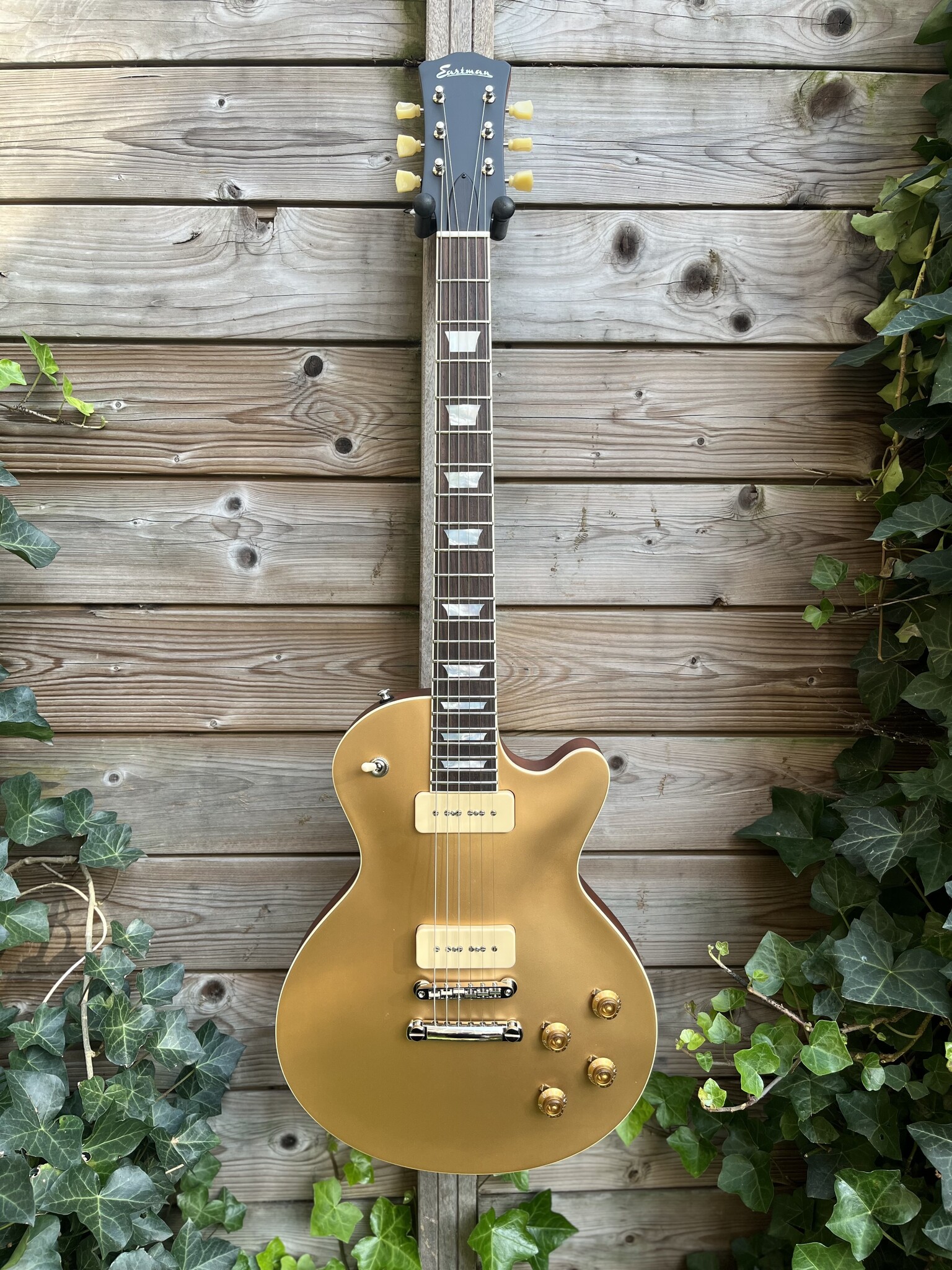 Eastman Eastman SB59 Satin Goldburst