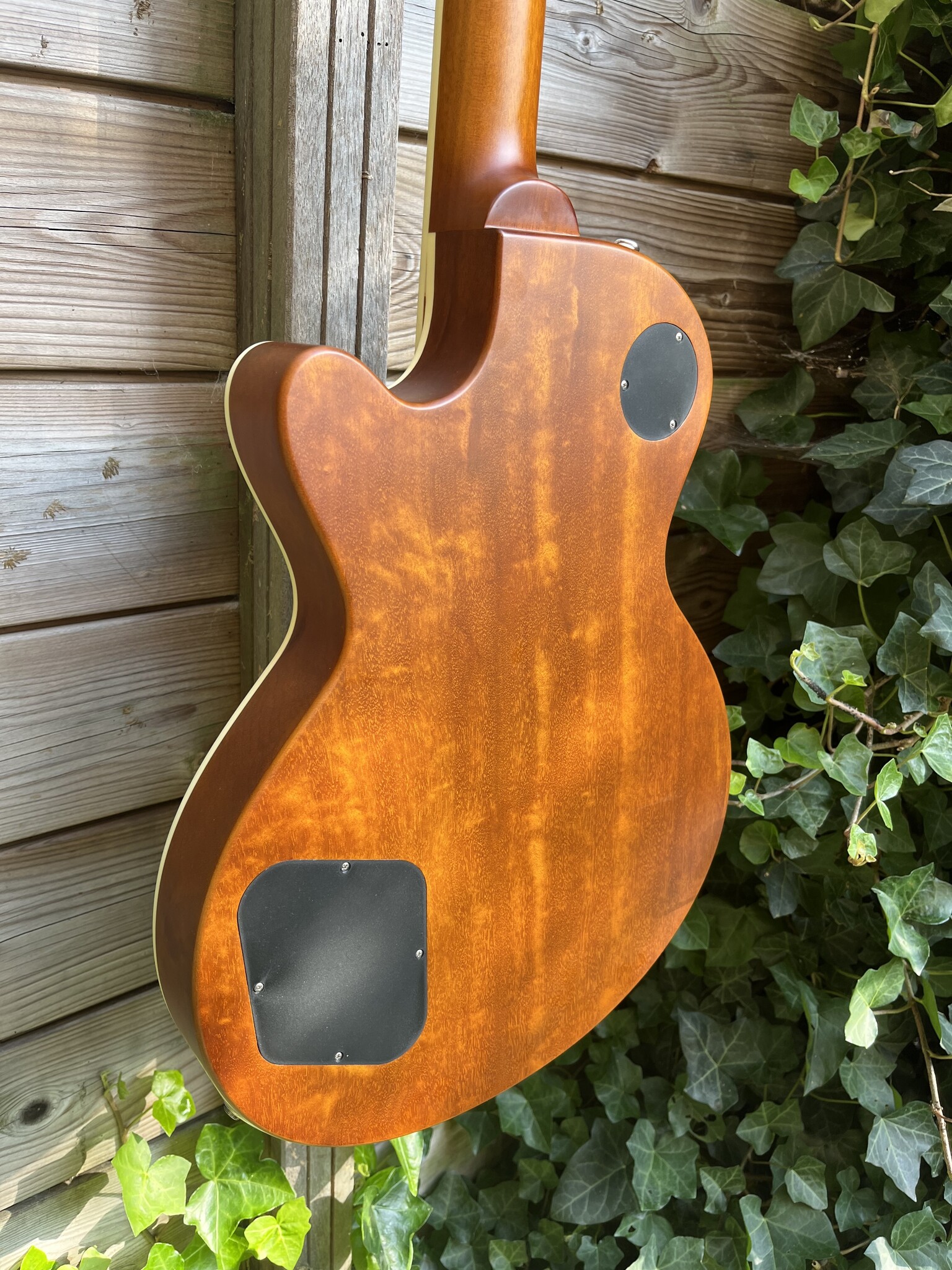 Eastman Eastman SB56 Satin Goldburst