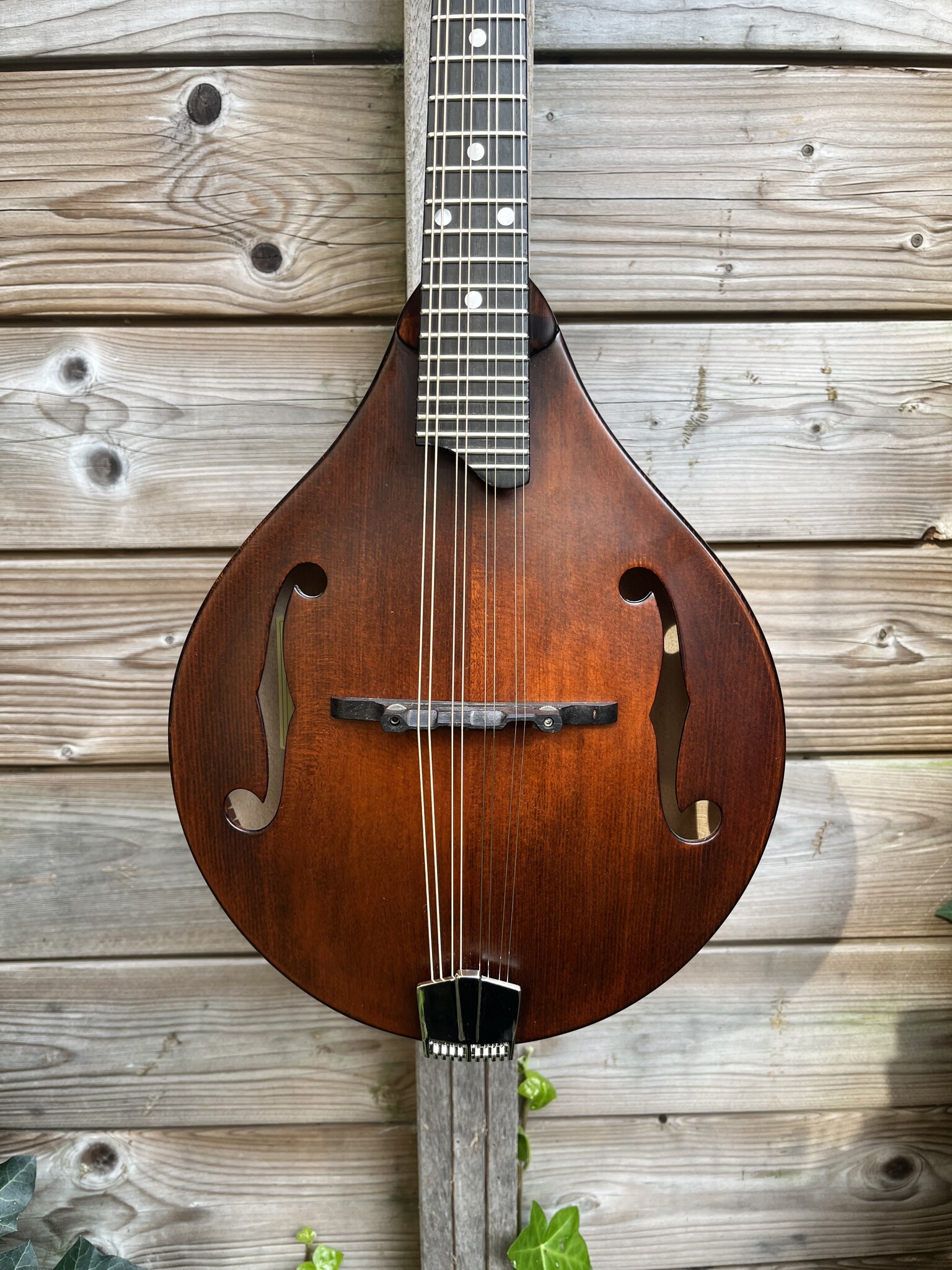 Eastman Eastman MD505/N-CC occ.