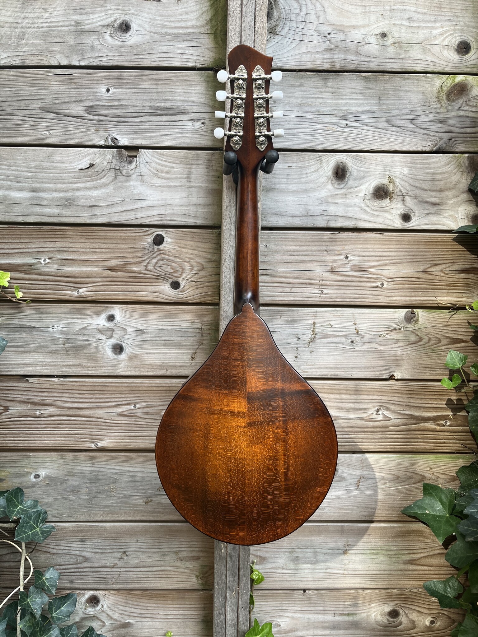 Eastman Eastman MD505/N-CC occ.