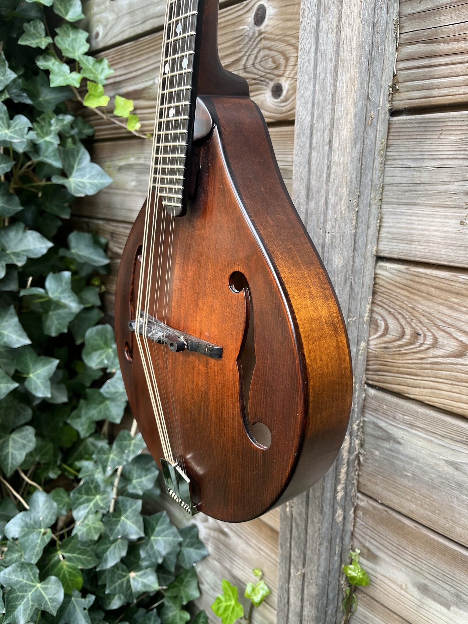 Eastman Eastman MD505/N-CC occ.