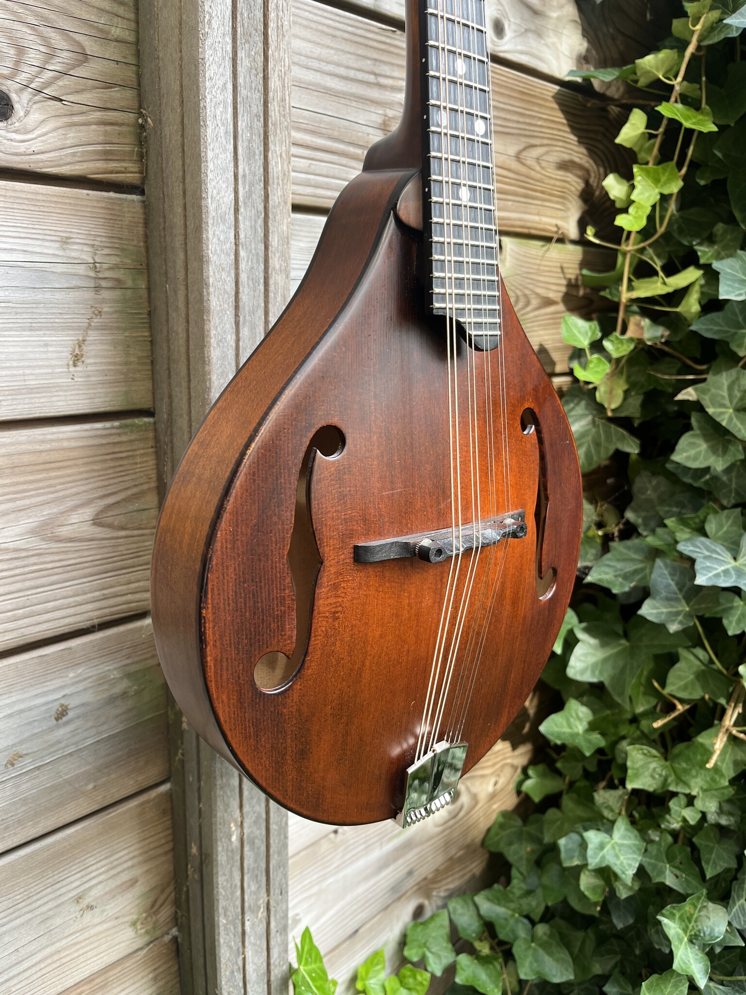Eastman Eastman MD505/N-CC occ.
