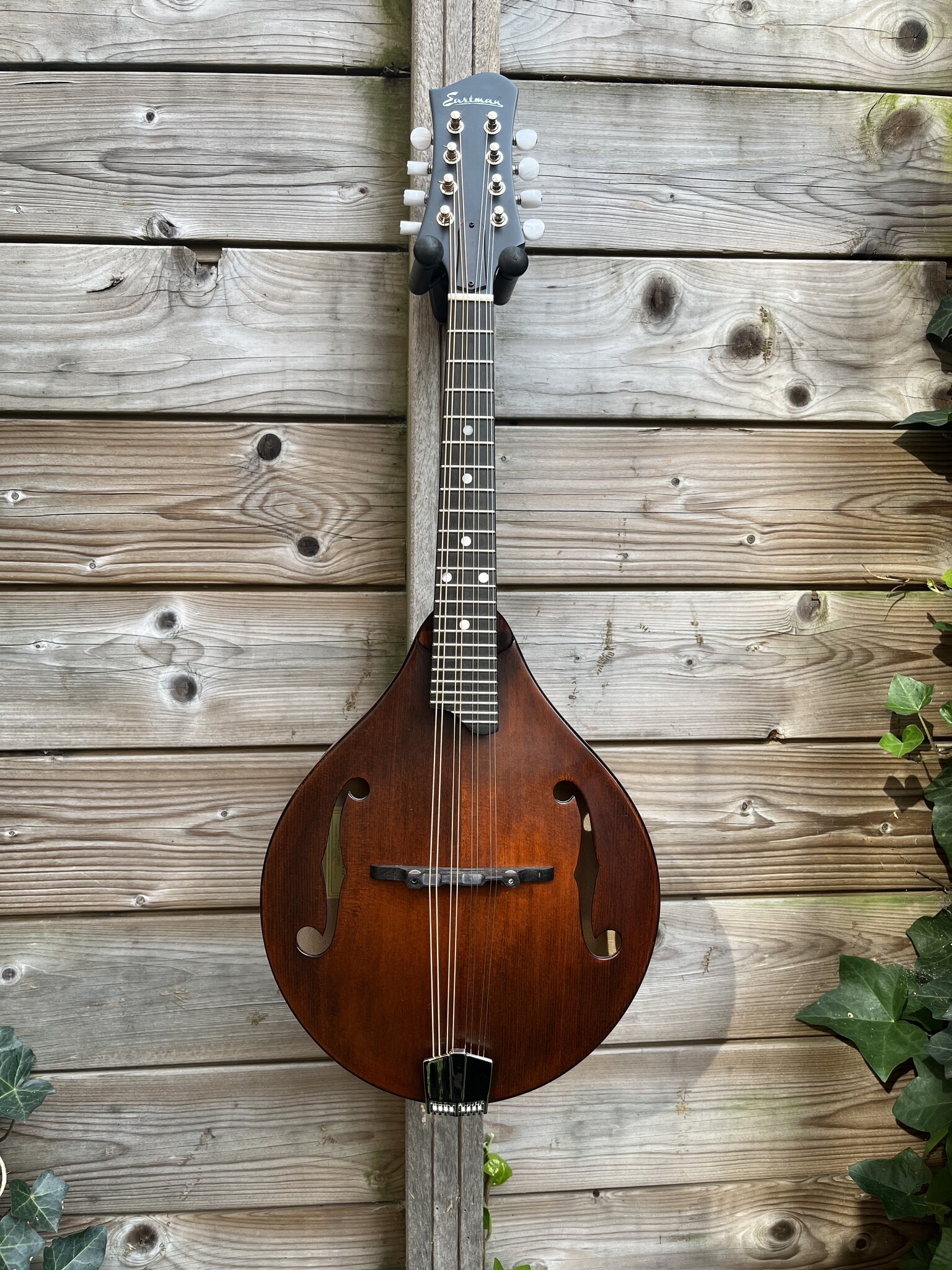 Eastman Eastman MD505/N-CC occ.