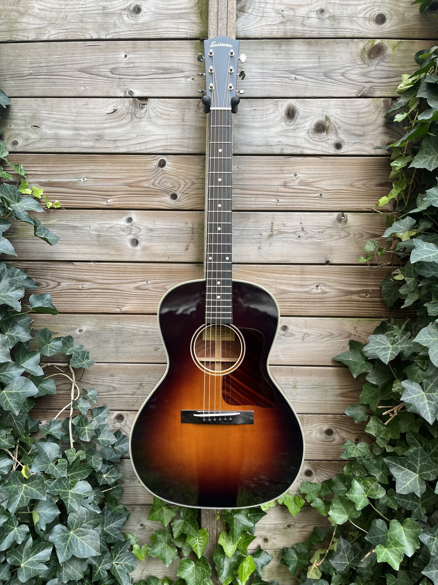 Eastman Eastman E10-00-SS-TC (#...484)