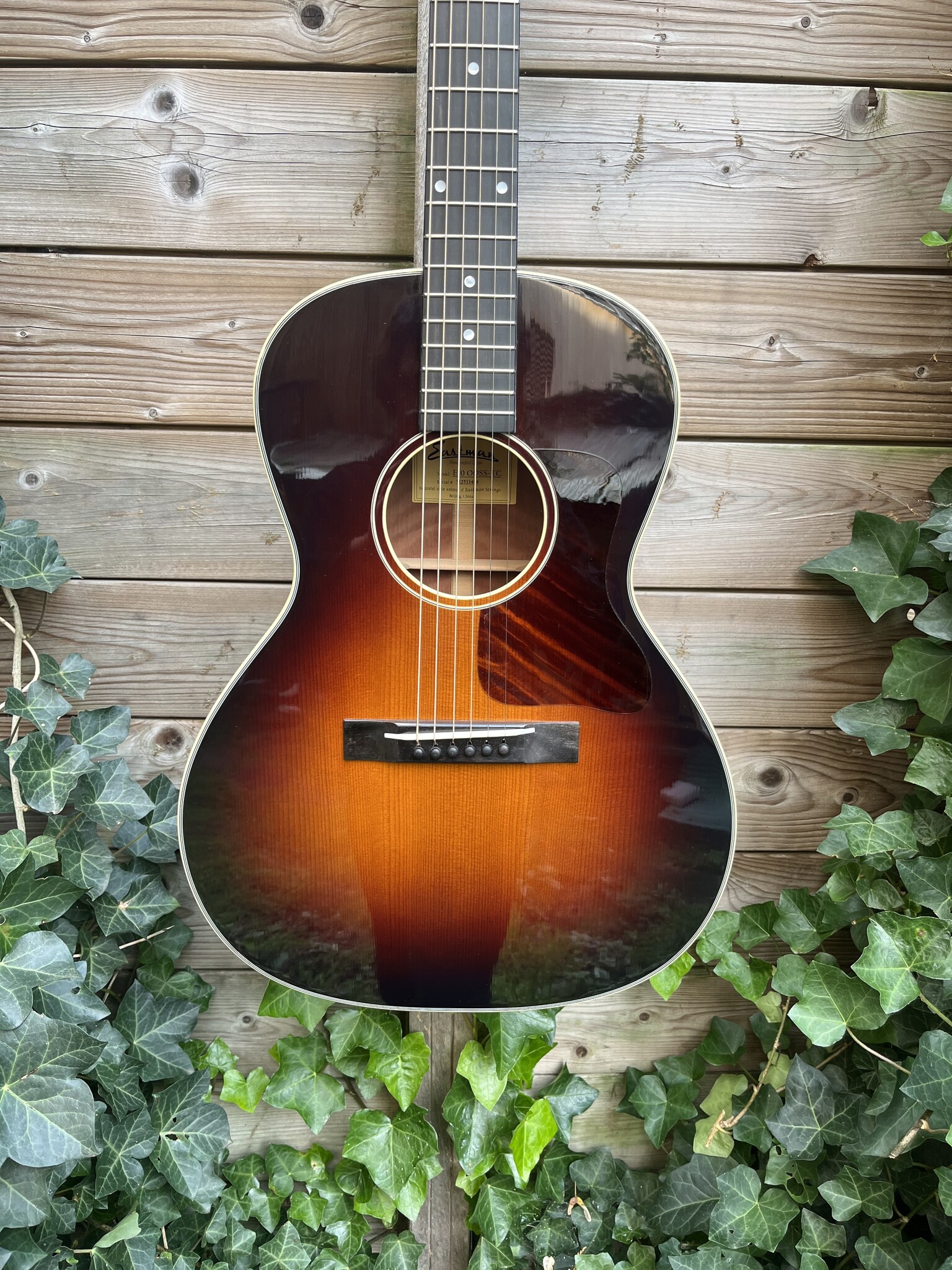 Eastman Eastman E10-00-SS-TC (#...484)