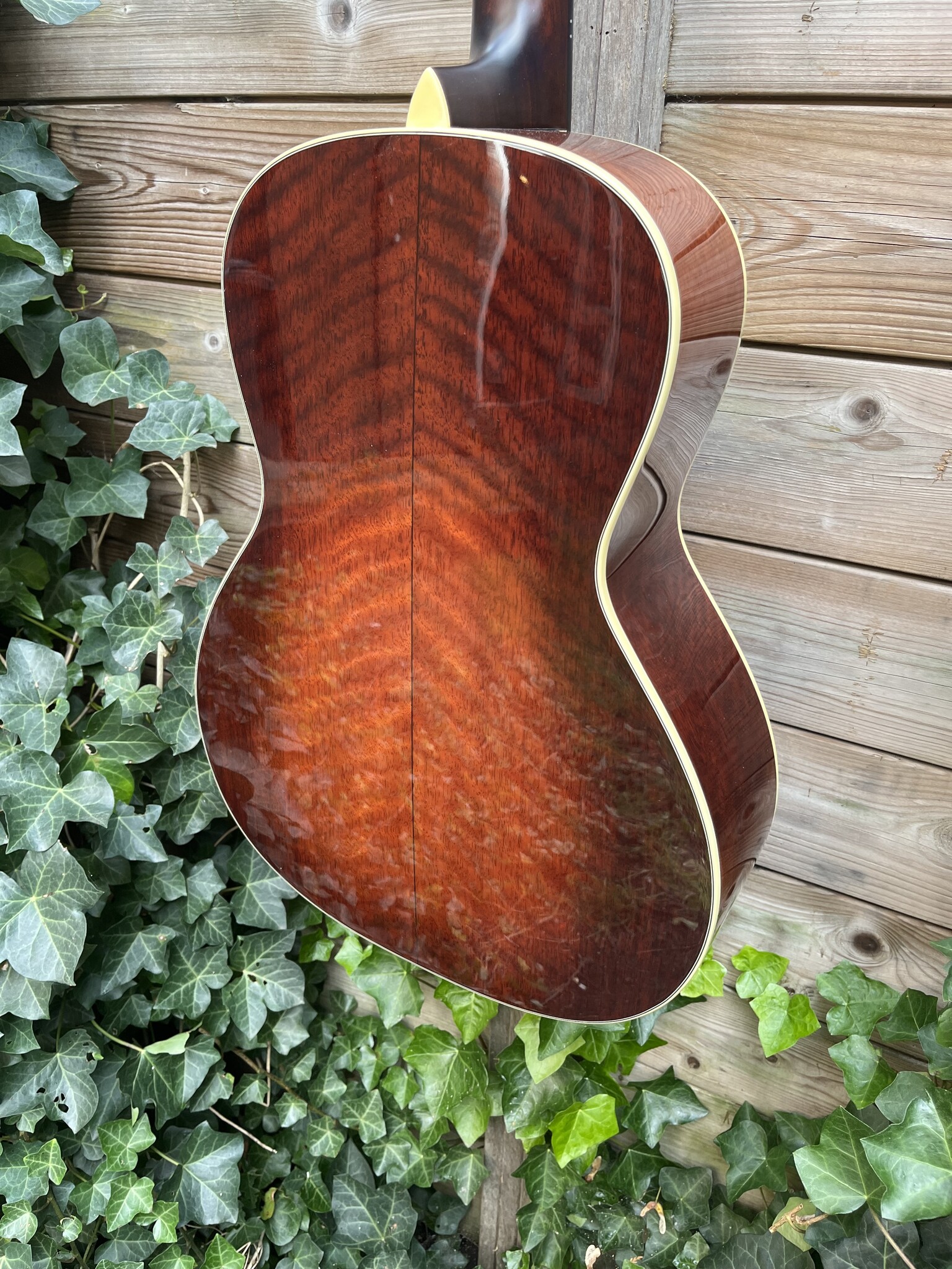 Eastman Eastman E10-00-SS-TC (#...484)