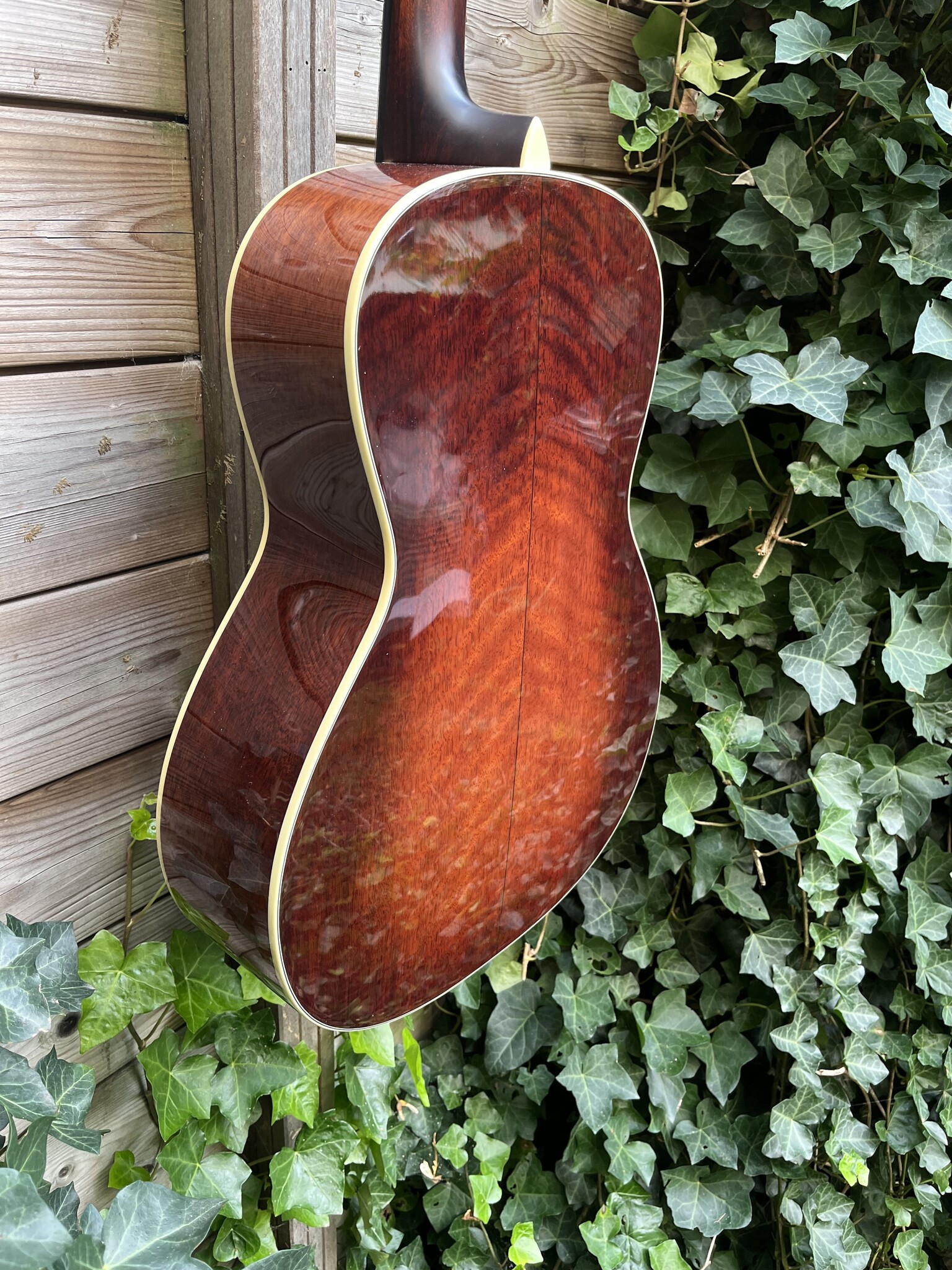 Eastman Eastman E10-00-SS-TC (#...484)