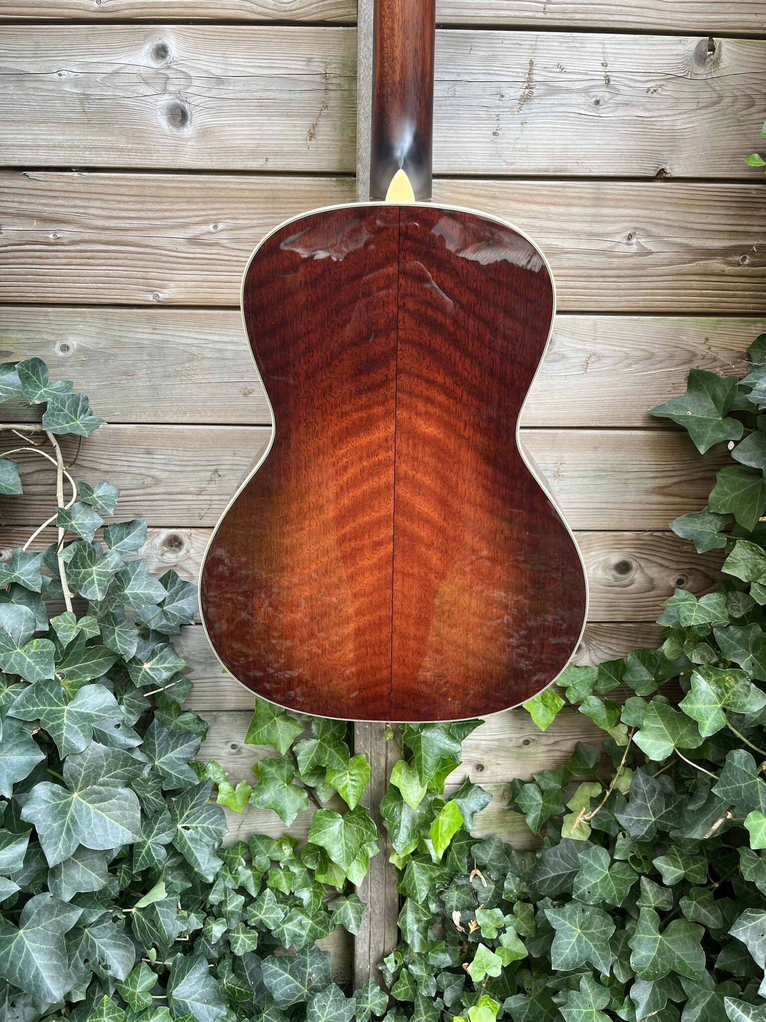 Eastman Eastman E10-00-SS-TC (#...484)