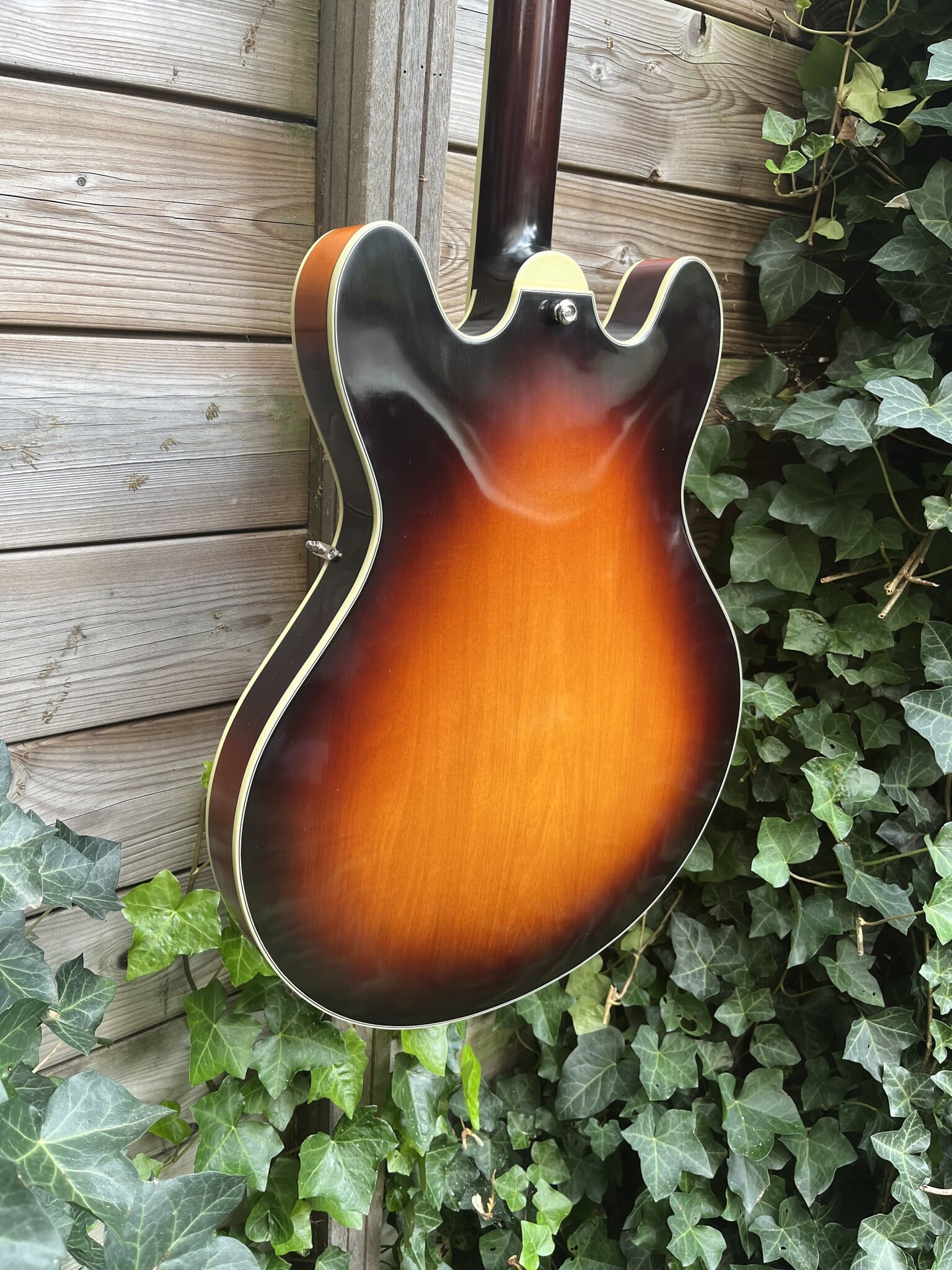 Eastman Eastman T60/TV Sunburst Thinline  (#...366)