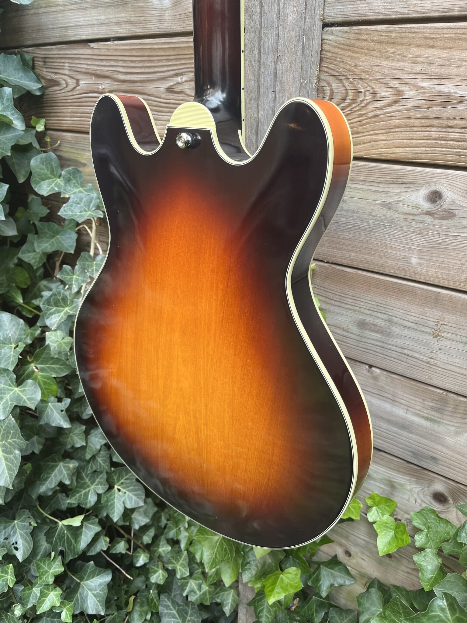Eastman Eastman T60/TV Sunburst Thinline  (#...366)