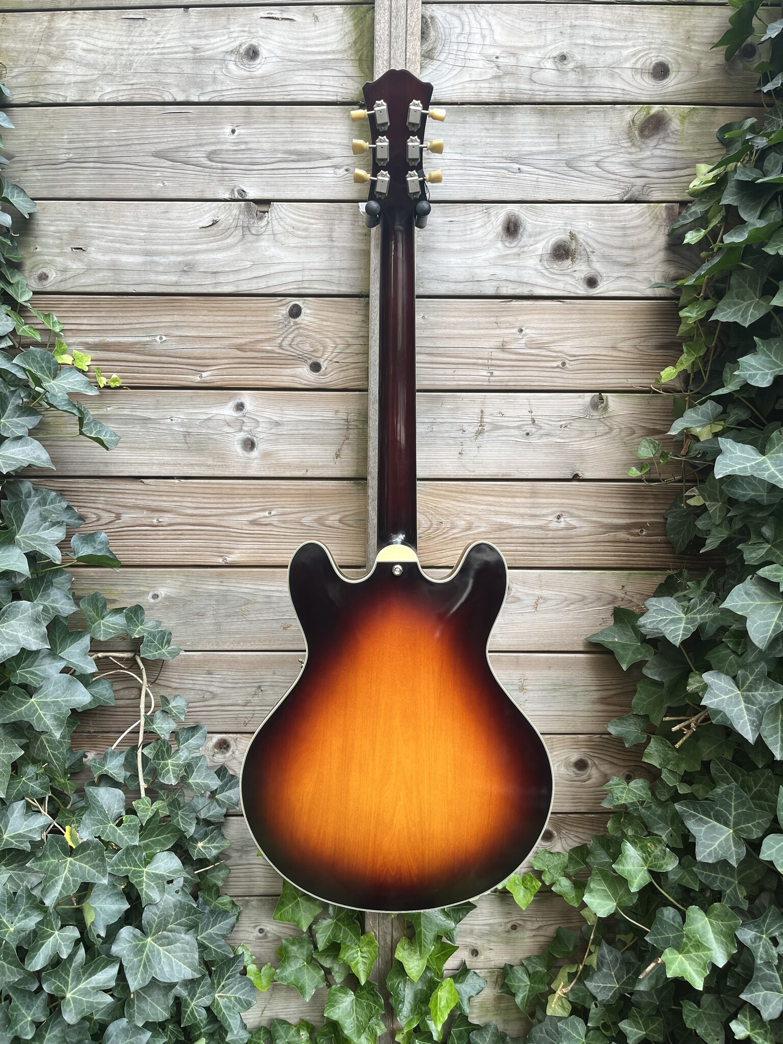 Eastman Eastman T60/TV Sunburst Thinline  (#...366)