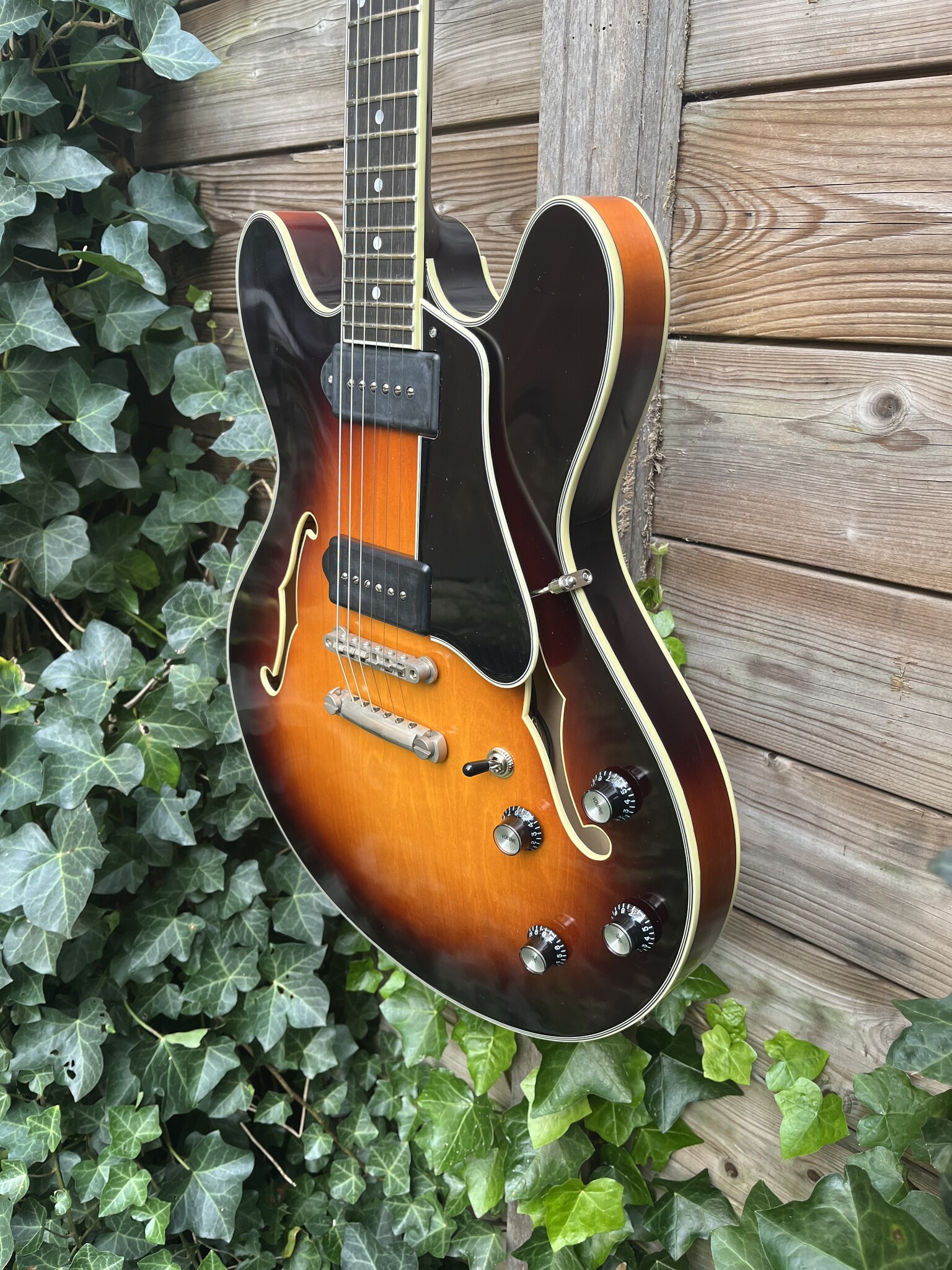 Eastman Eastman T60/TV Sunburst Thinline  (#...366)