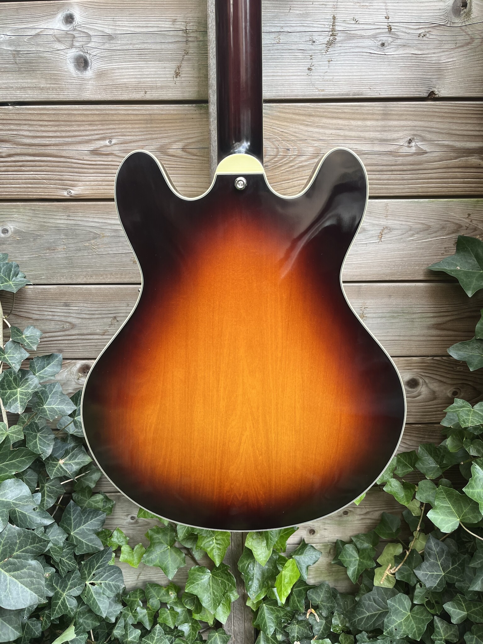 Eastman Eastman T60/TV Sunburst Thinline  (#...366)