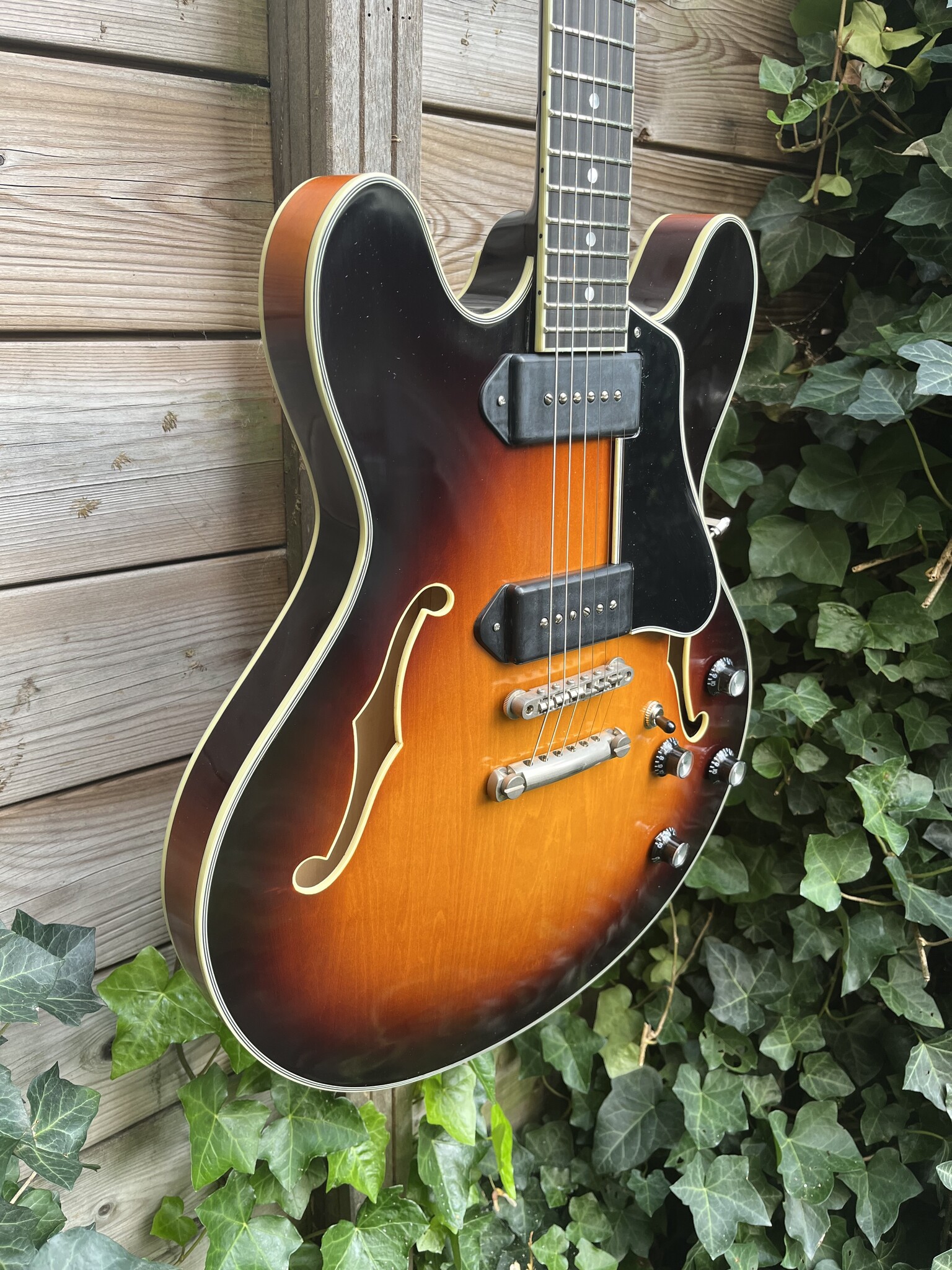 Eastman Eastman T60/TV Sunburst Thinline  (#...366)