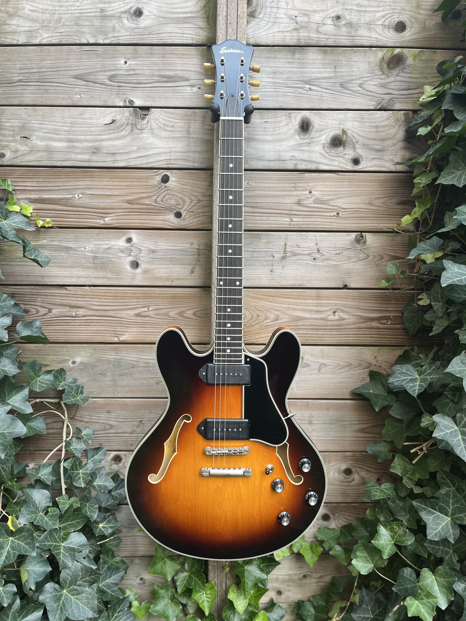 Eastman Eastman T60/TV Sunburst Thinline  (#...366)