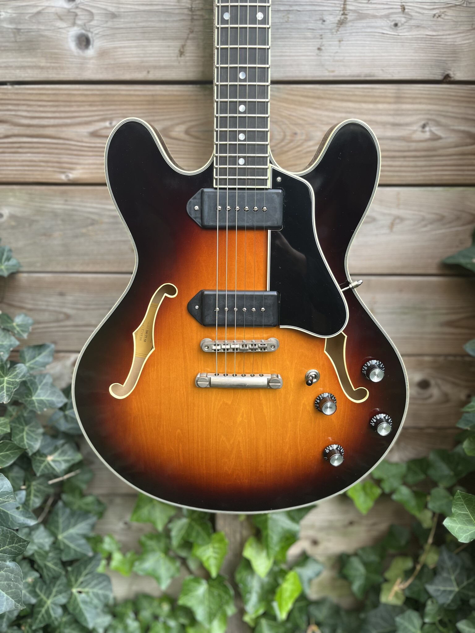 Eastman Eastman T60/TV Sunburst Thinline  (#...366)