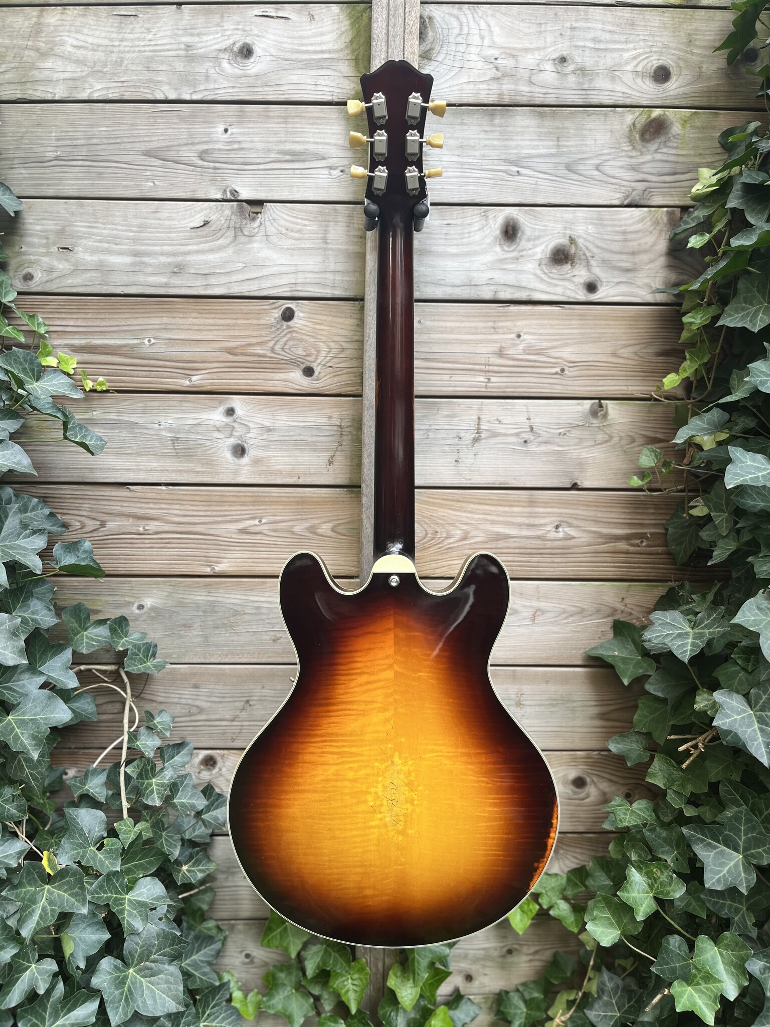 Eastman Eastman T59/v-SB Antique Sunburst (#...253)