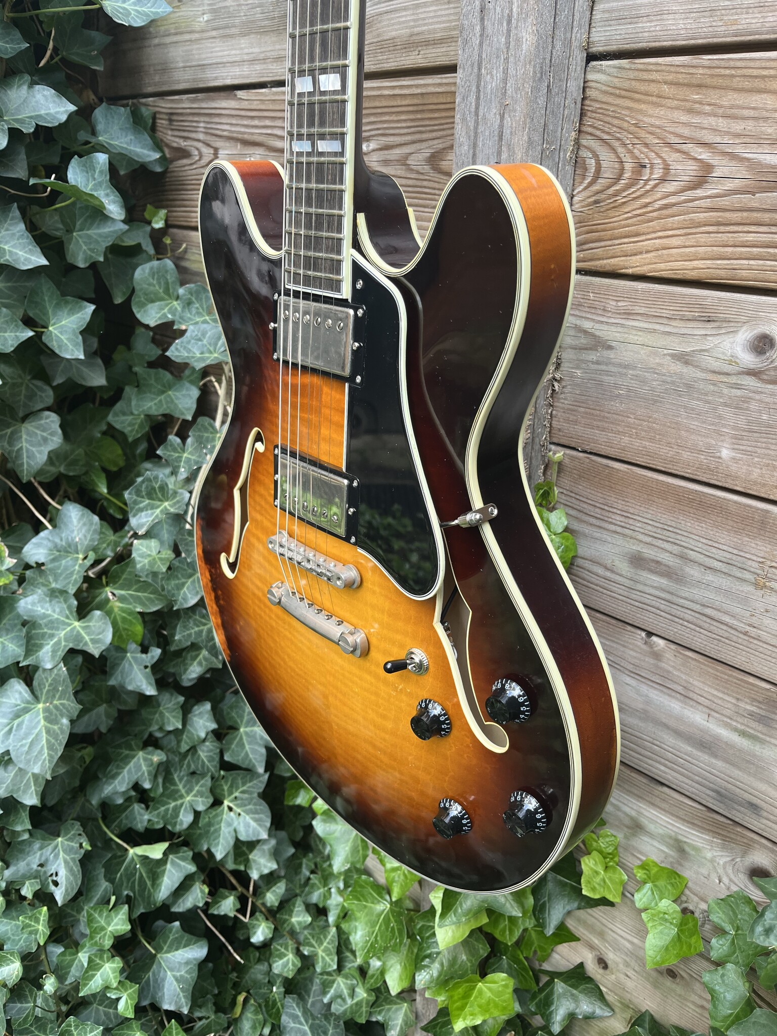 Eastman Eastman T59/v-SB Antique Sunburst (#...253)