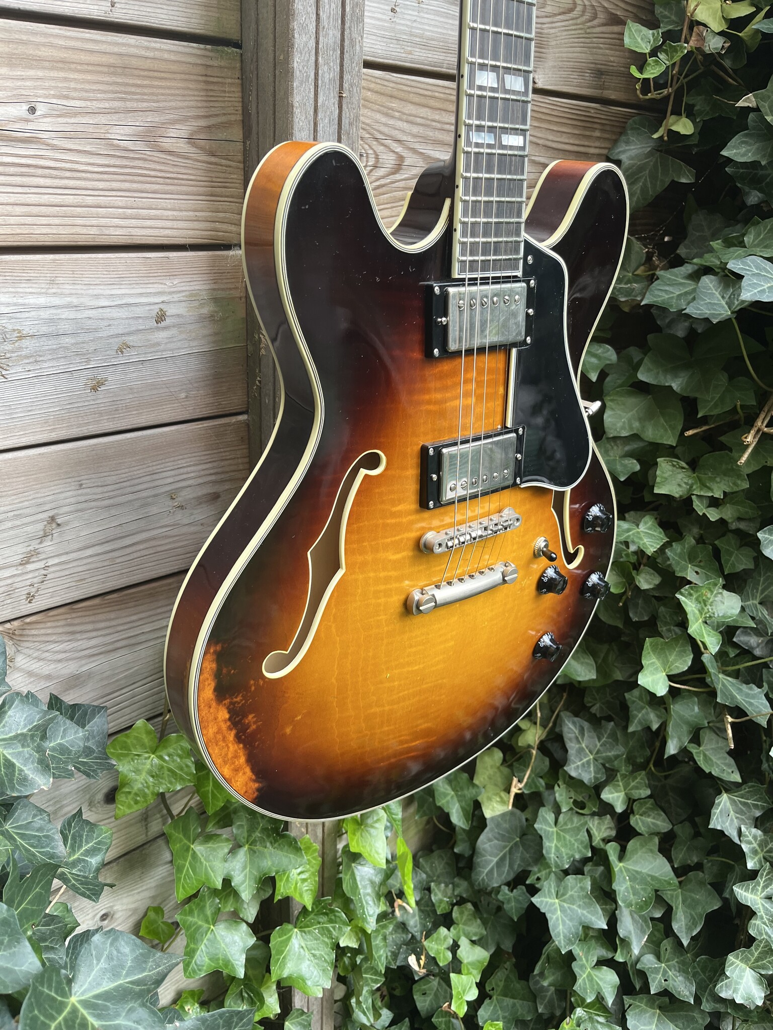 Eastman Eastman T59/v-SB Antique Sunburst