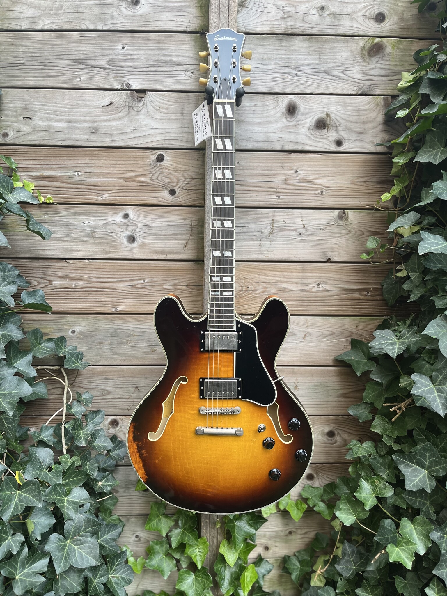 Eastman Eastman T59/v-SB Antique Sunburst