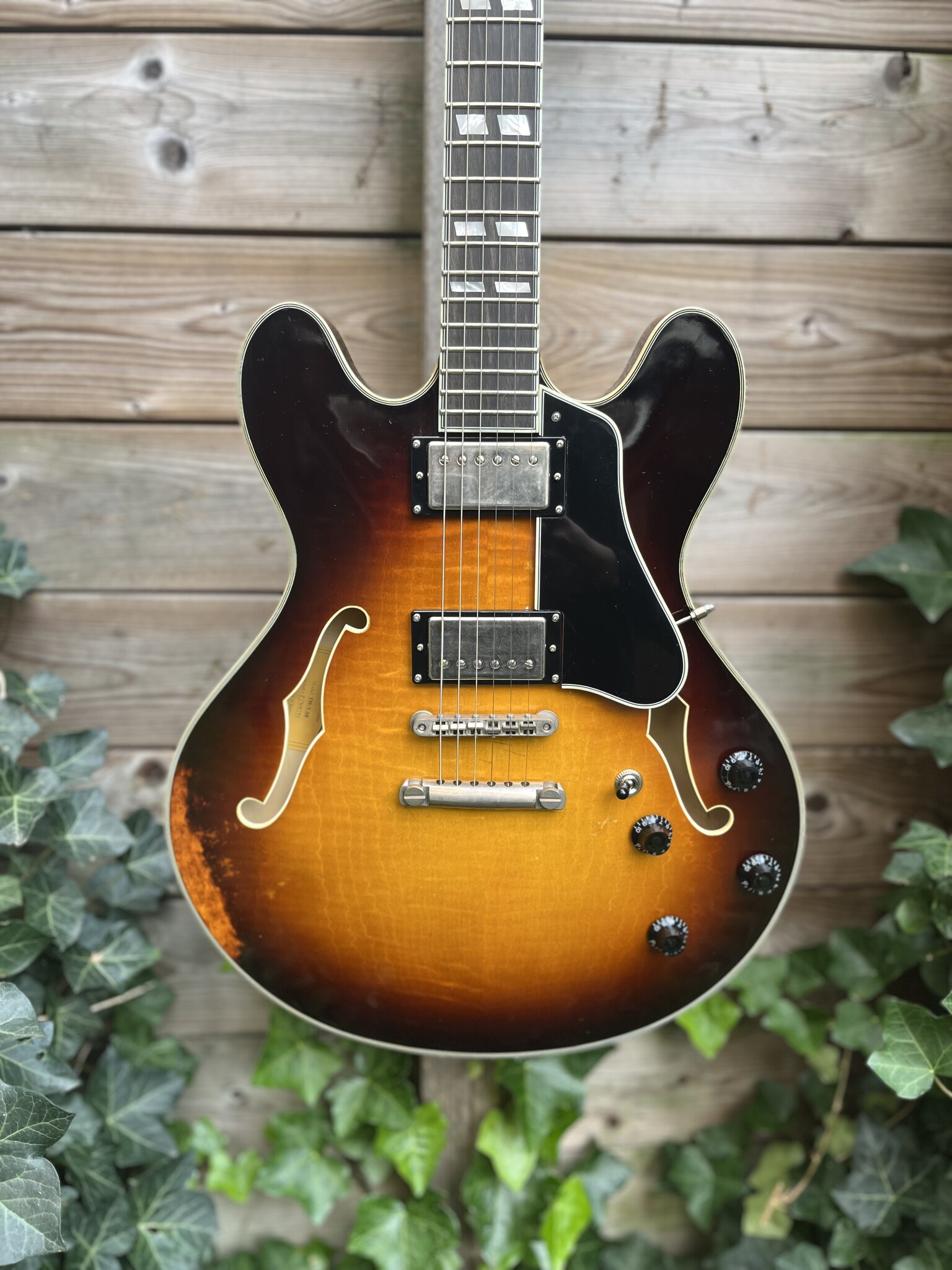 Eastman Eastman T59/v-SB Antique Sunburst (#...253)