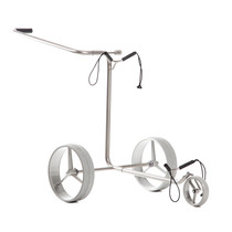 Silver 3-wheel pushtrolley